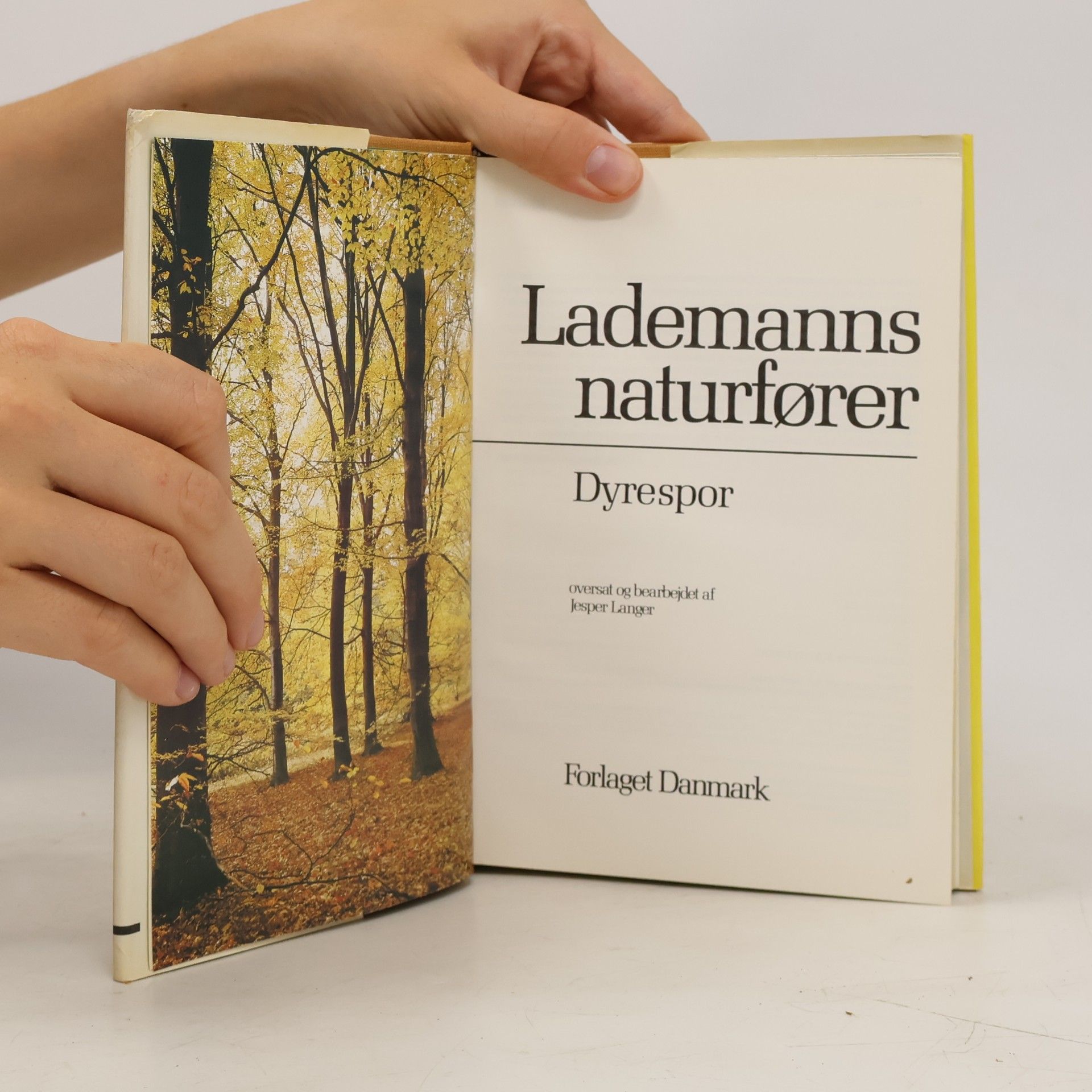 Jesper Langer Dyrespor