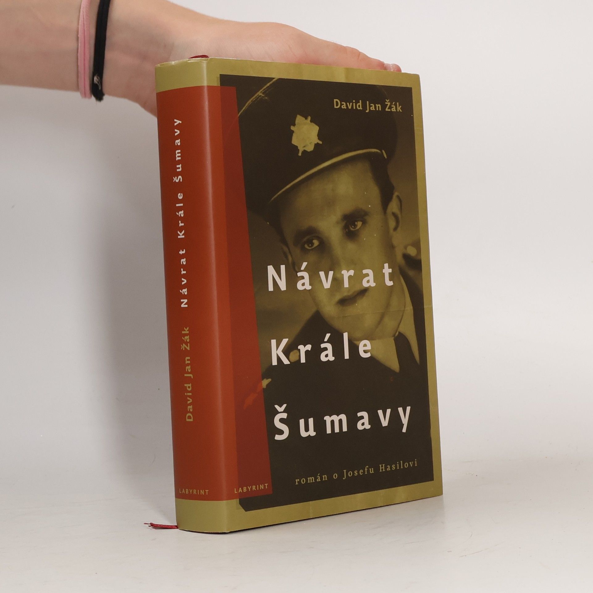 David Jan Žák Návrat Krále Šumavy