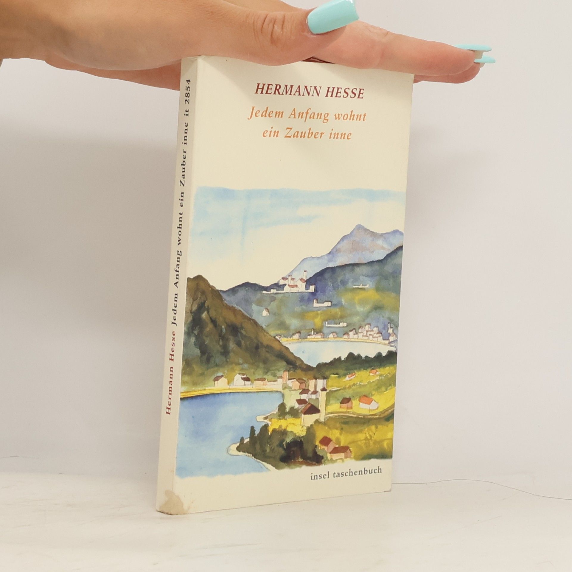 Hermann Hesse Jedem Anfang wohnt ein Zauber inne