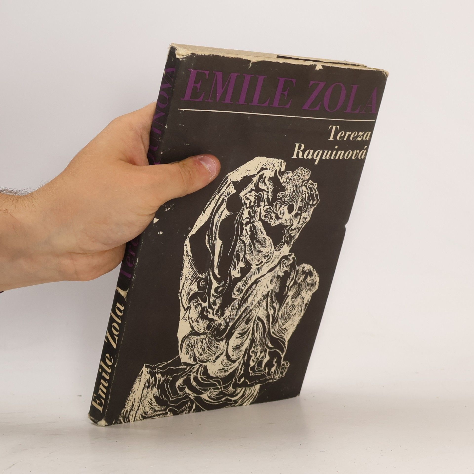 Émile Zola Tereza Raquinová