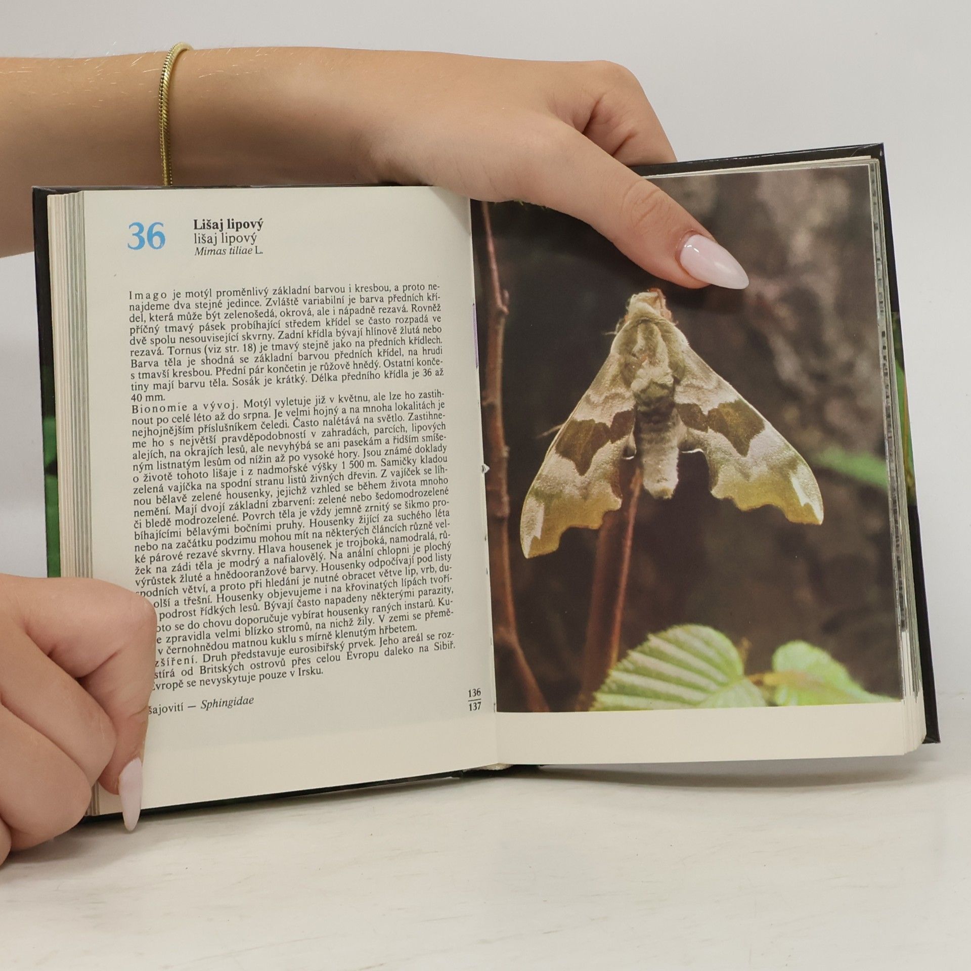 Rudolf Hrabák Kapesní atlas našich motýlů