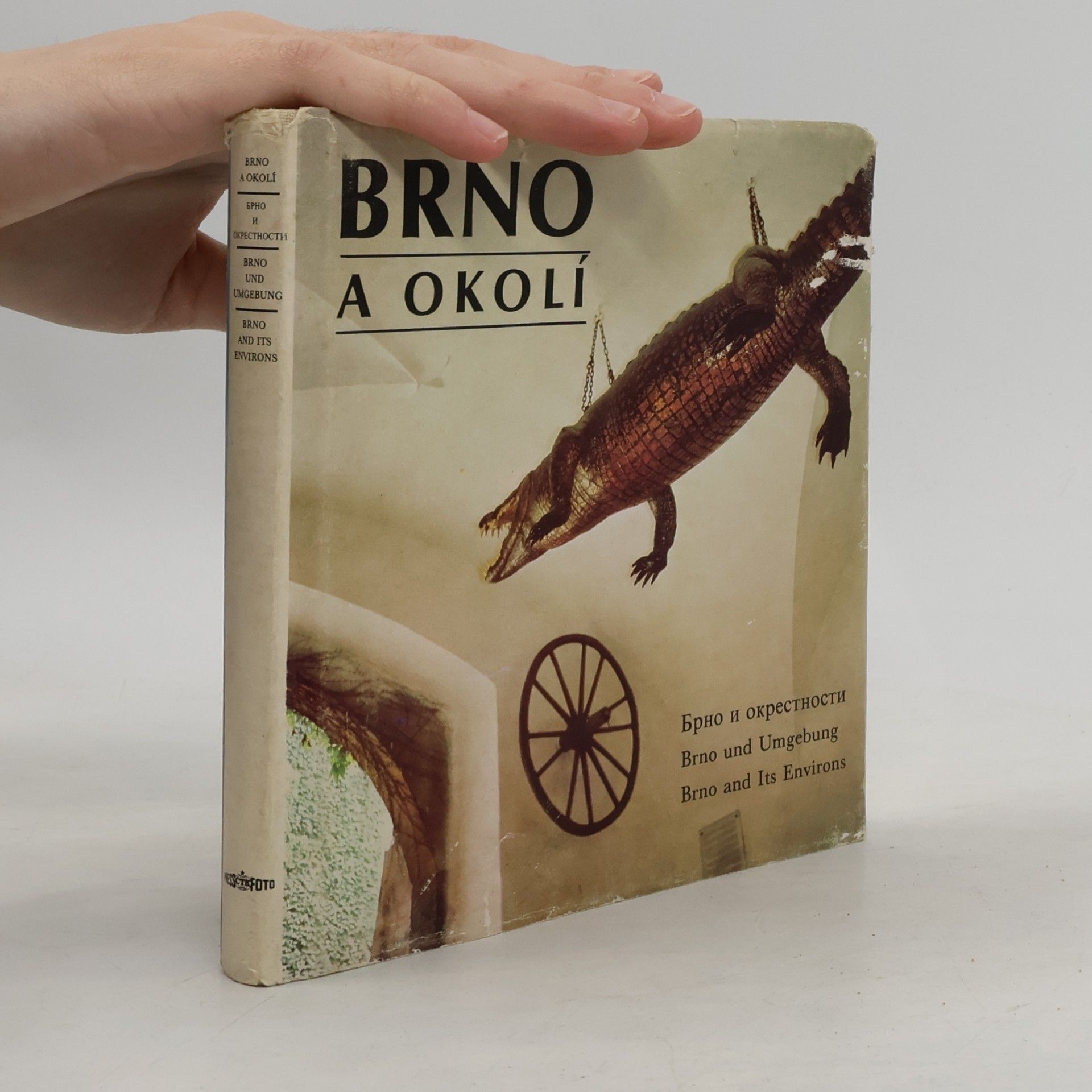 Dalibor Kusák Brno a okolí
