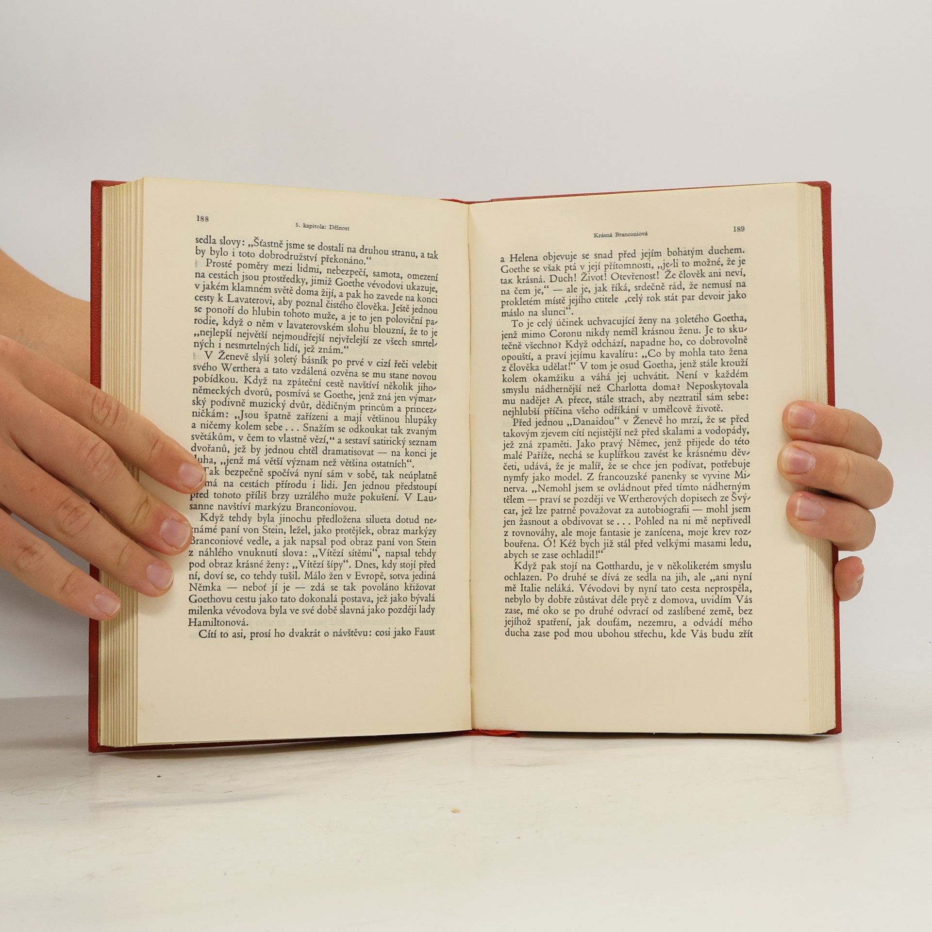Emil Ludwig Goethe I