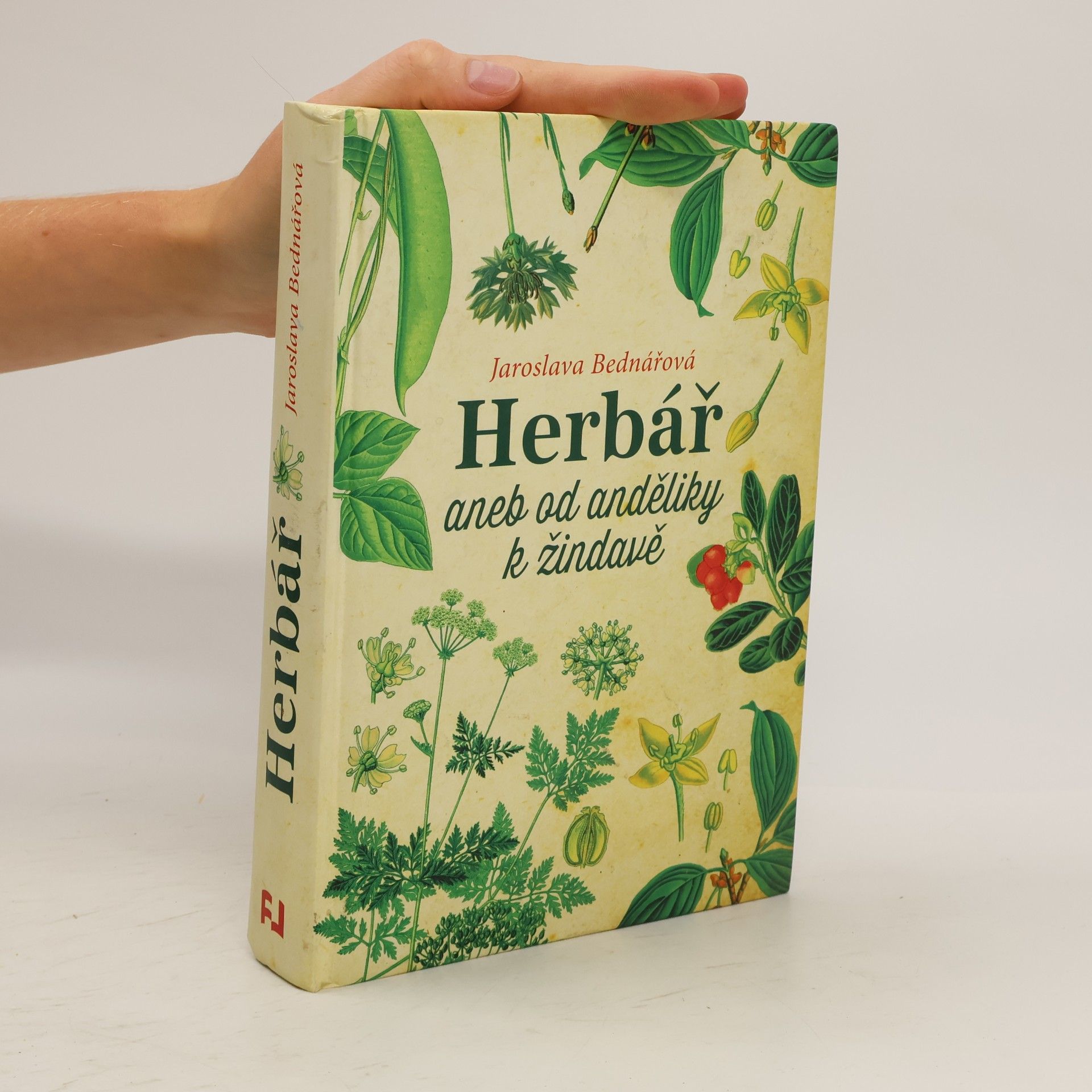Jaroslava Bednářová Herbář, aneb, Od anděliky k žindavě