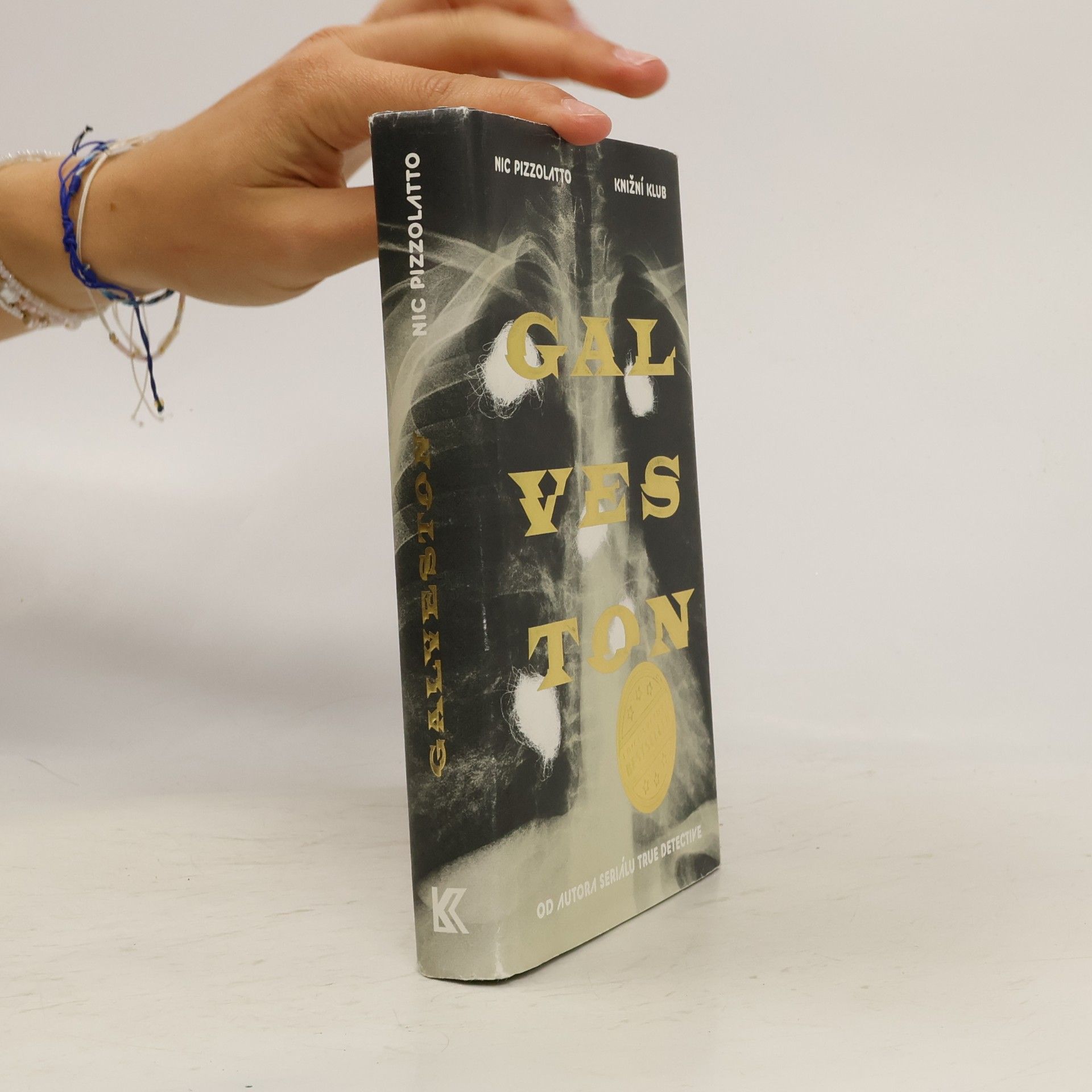 Nic Pizzolatto Galveston