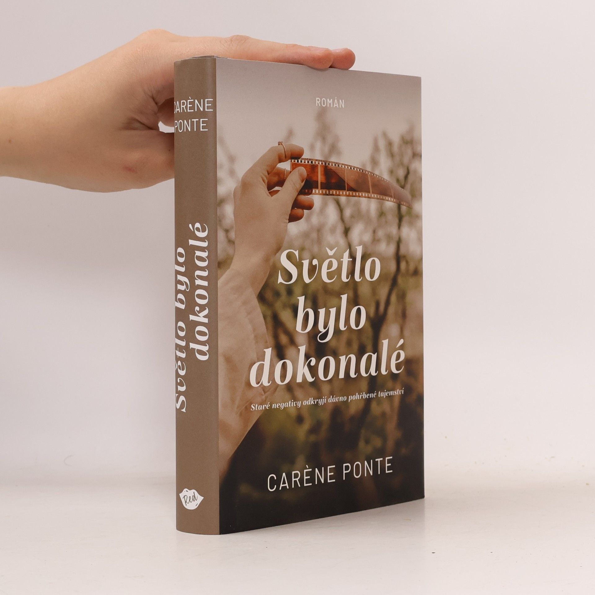Carène Ponte Světlo bylo dokonalé