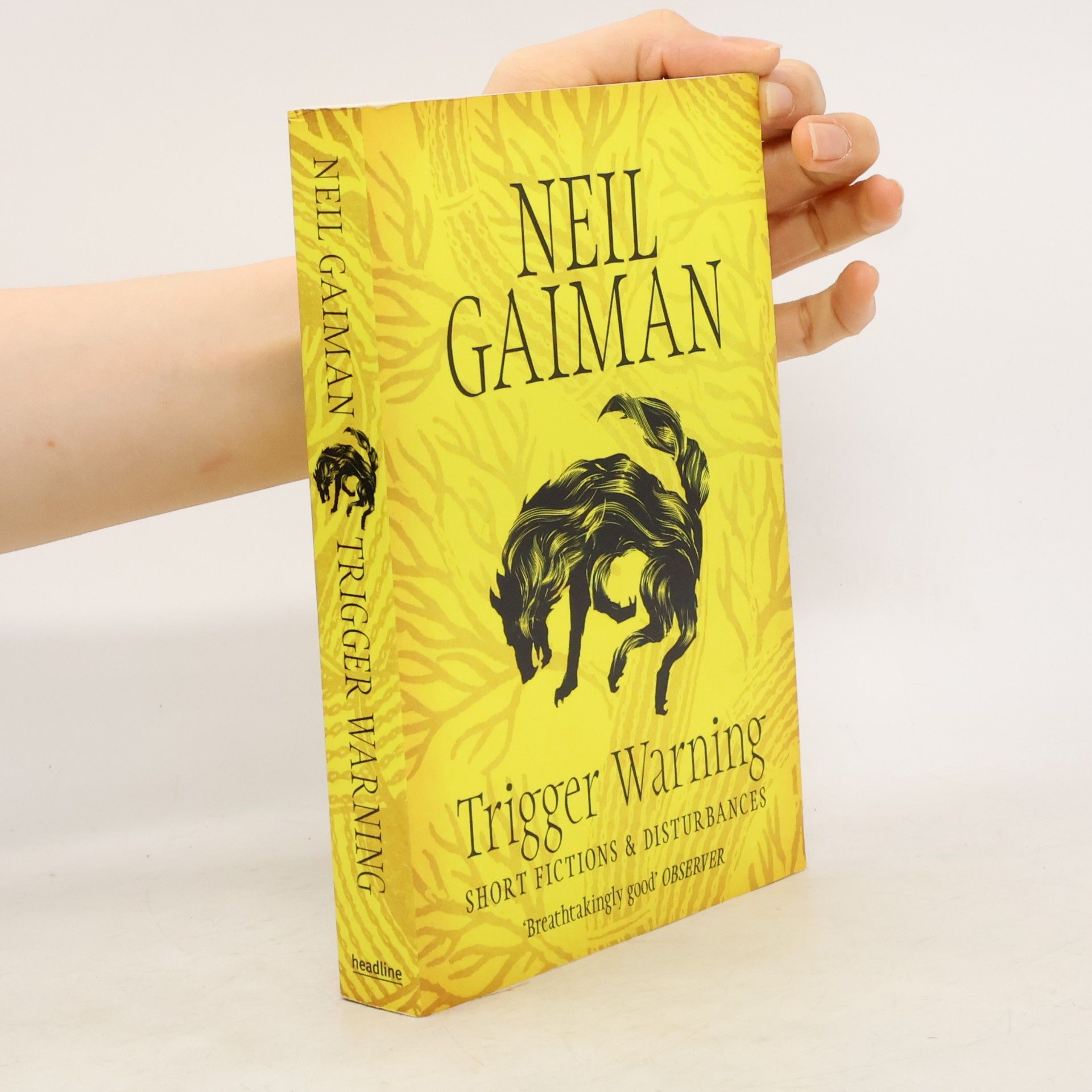 Neil Gaiman Trigger Warning: Short Fictions and Disturbances