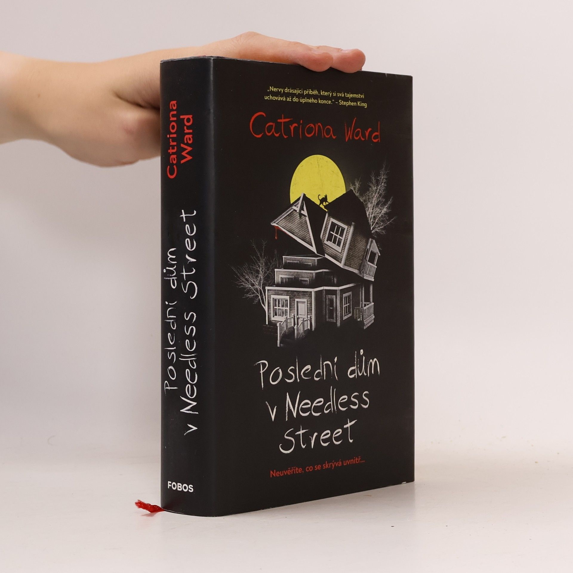 Catriona Ward Poslední dům v Needless Street