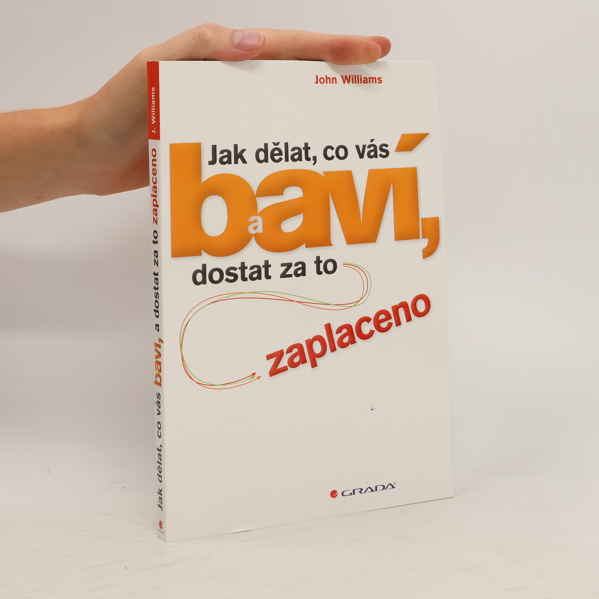 Jak dělat, co vás baví, a dostat za to zaplaceno