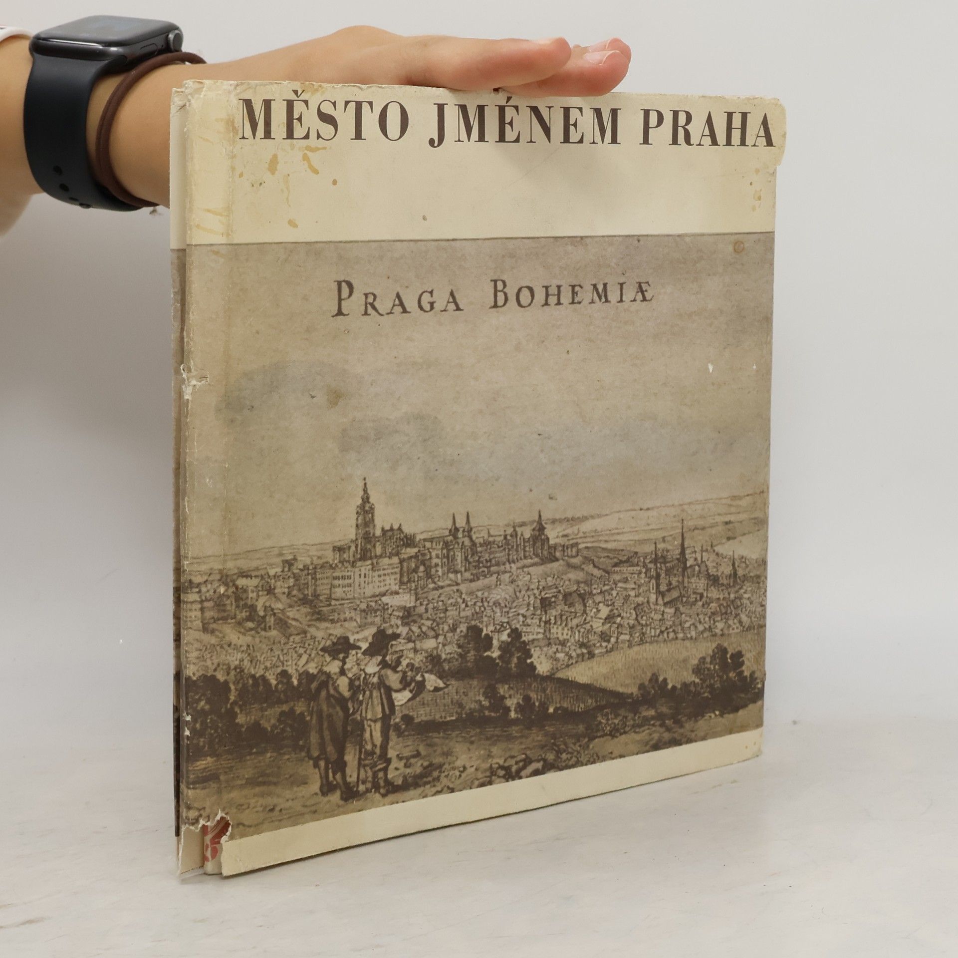 Karel Šiktanc Město jménem Praha