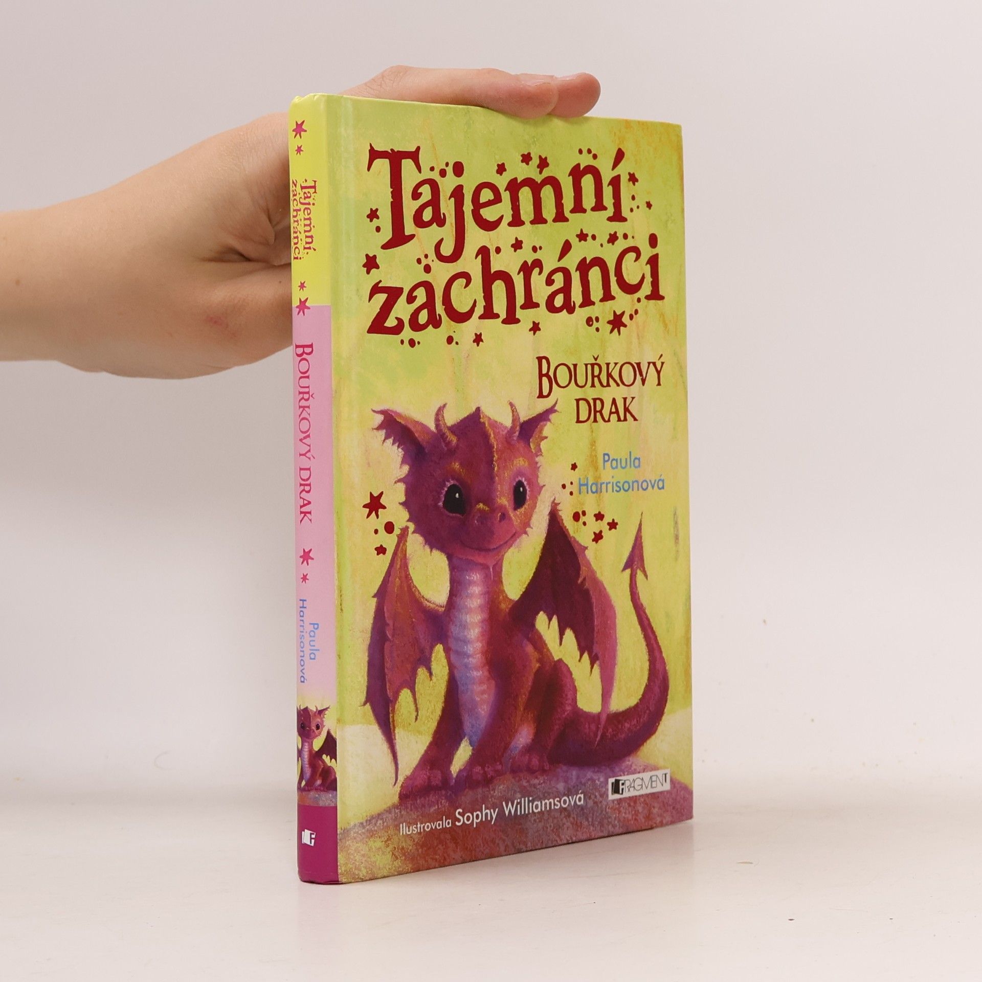 Paula Harrison Tajemní zachránci - Bouřkový drak