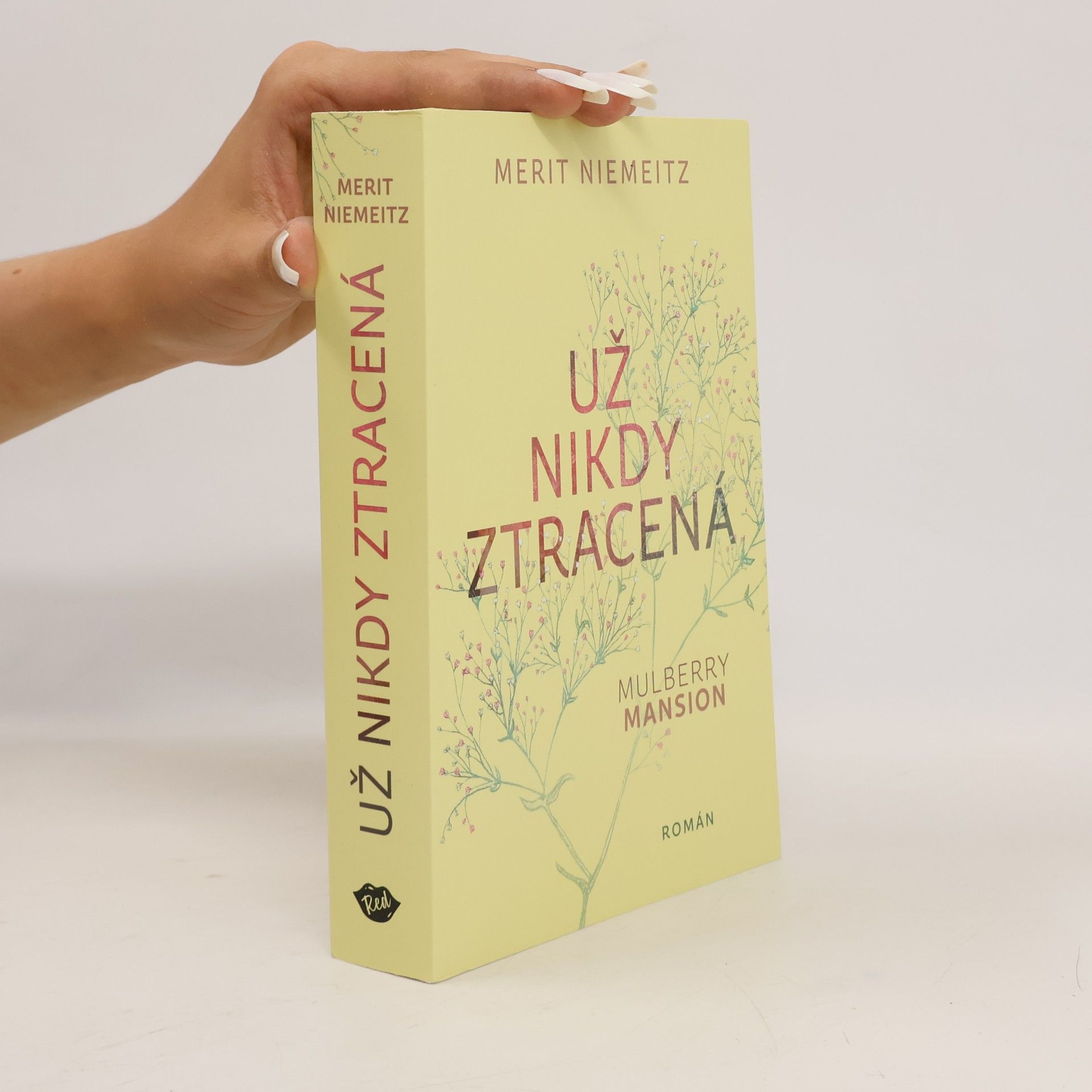 Merit Niemeitz Už nikdy ztracená