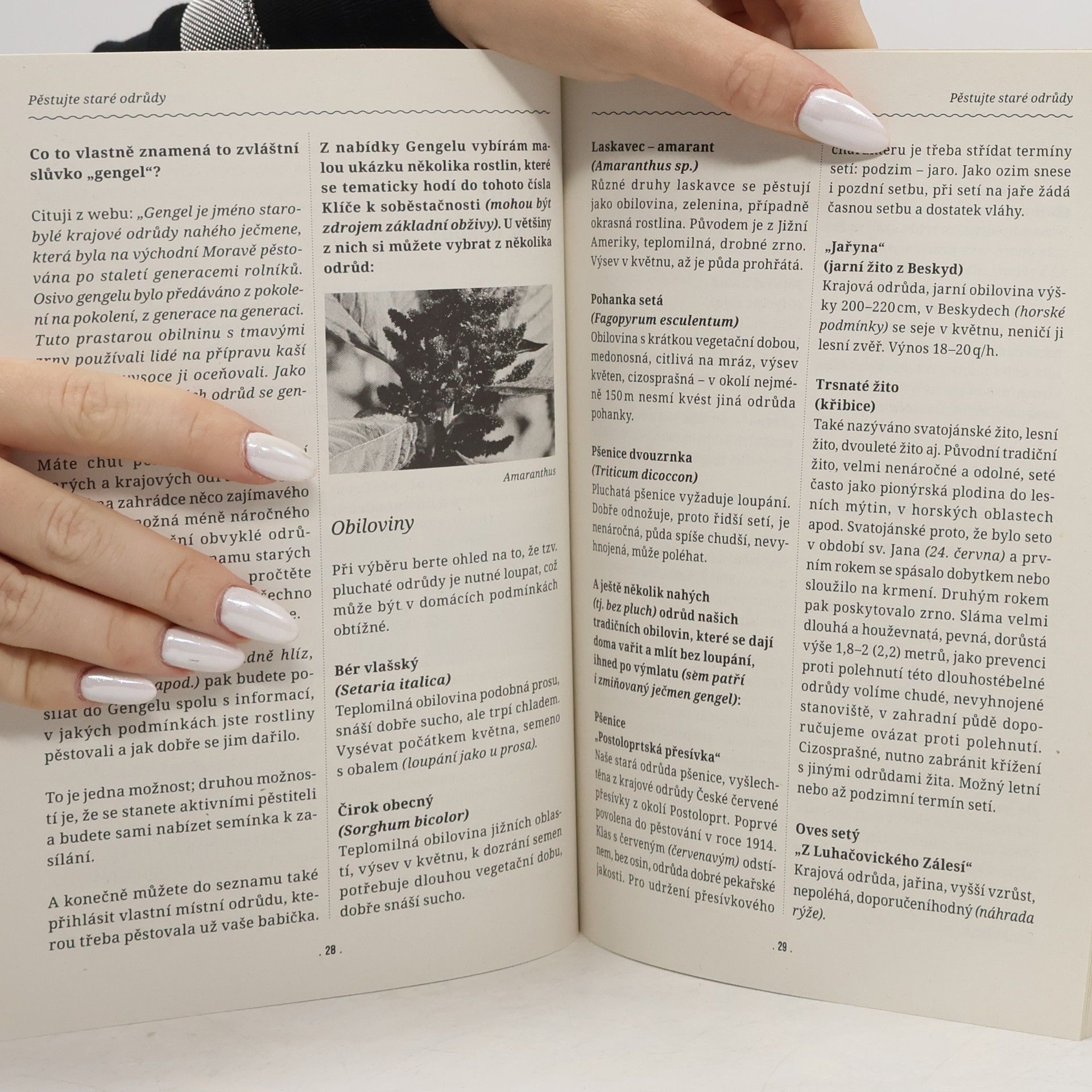 Autorenkollektiv Potravinová soběstačnost