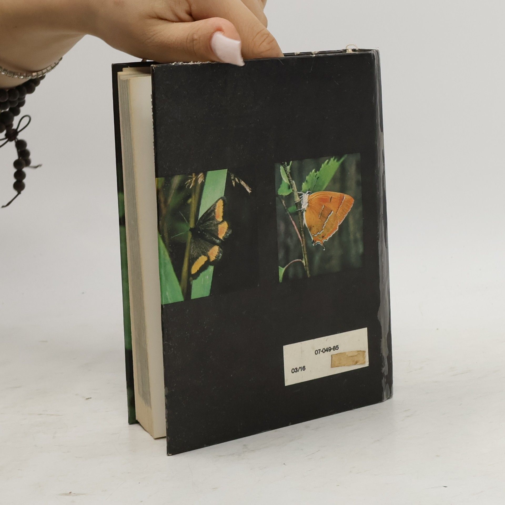 Rudolf Hrabák Kapesní atlas našich motýlů