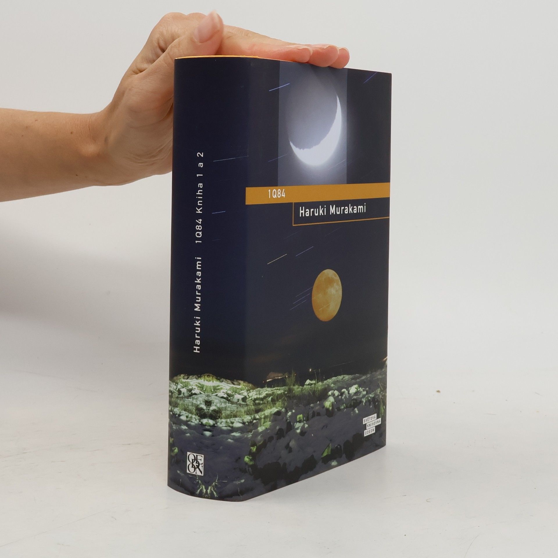 Haruki Murakami 1Q84. Kniha 1 a 2