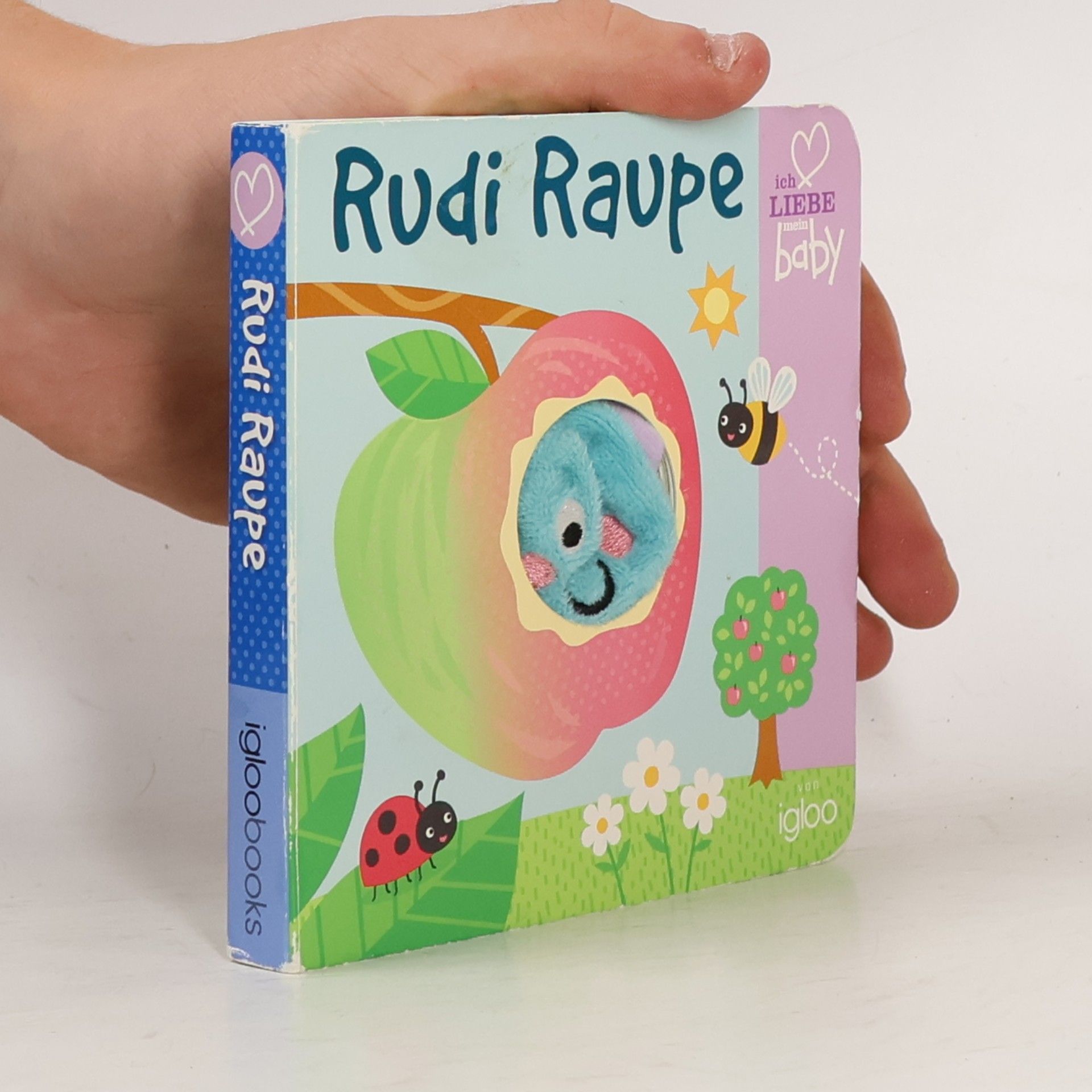 BOOKS GmbH IGLOO Rudi Raupe