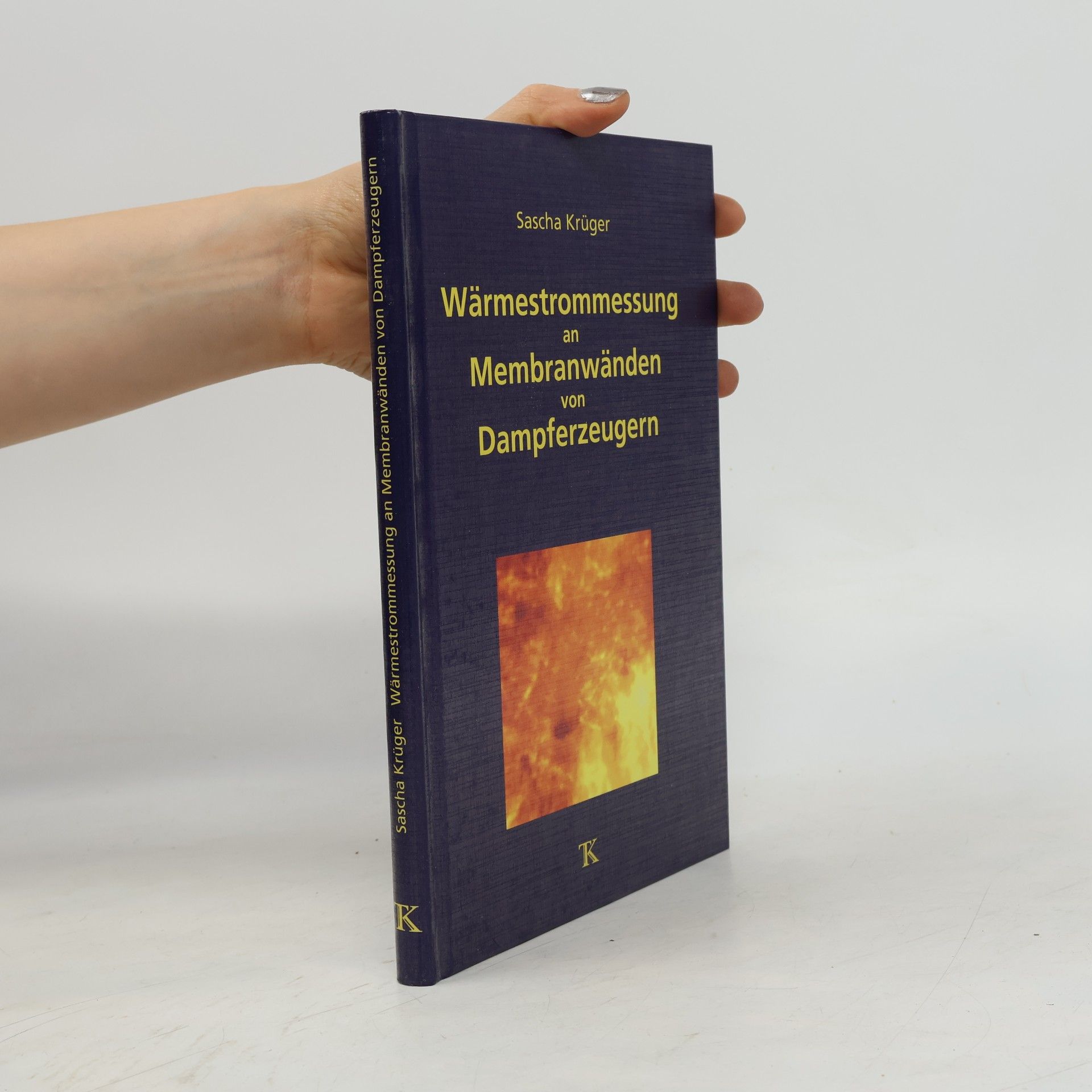 Sascha Krüger Wärmestrommessung an Membranwänden von Dampferzeugern
