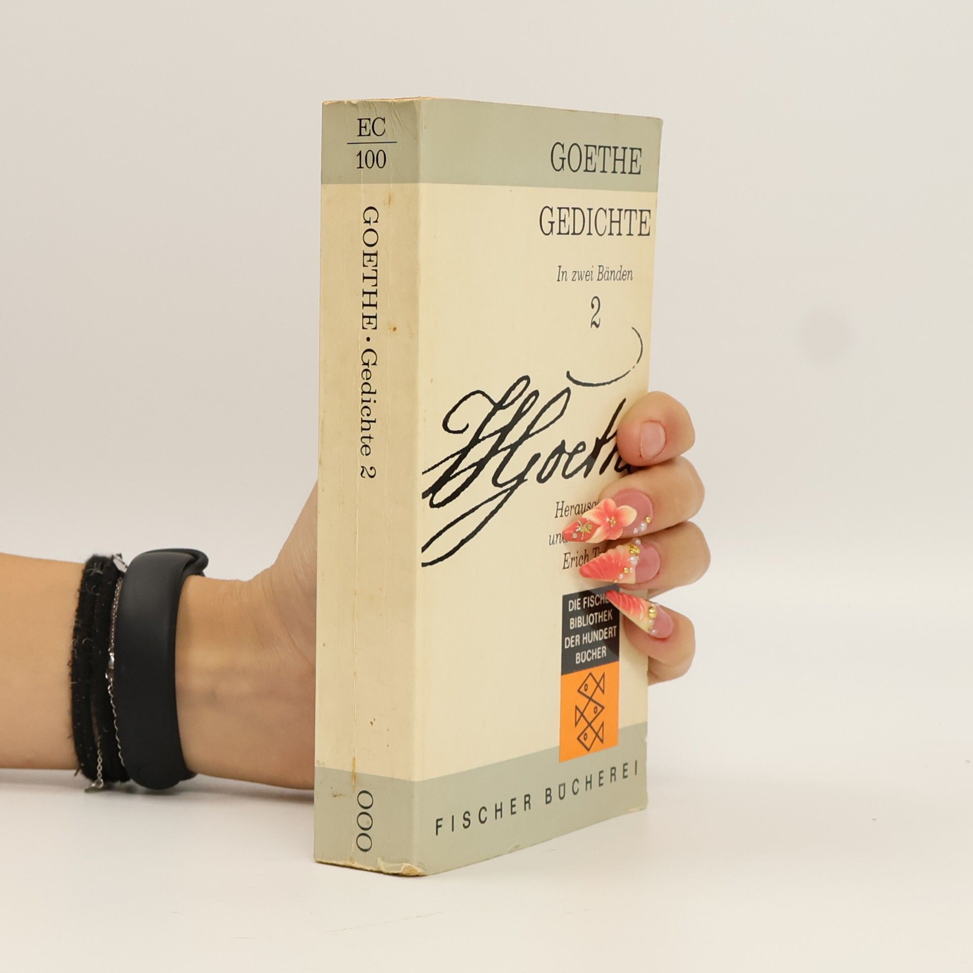 Johann Wolfgang von Goethe Gedichte 2