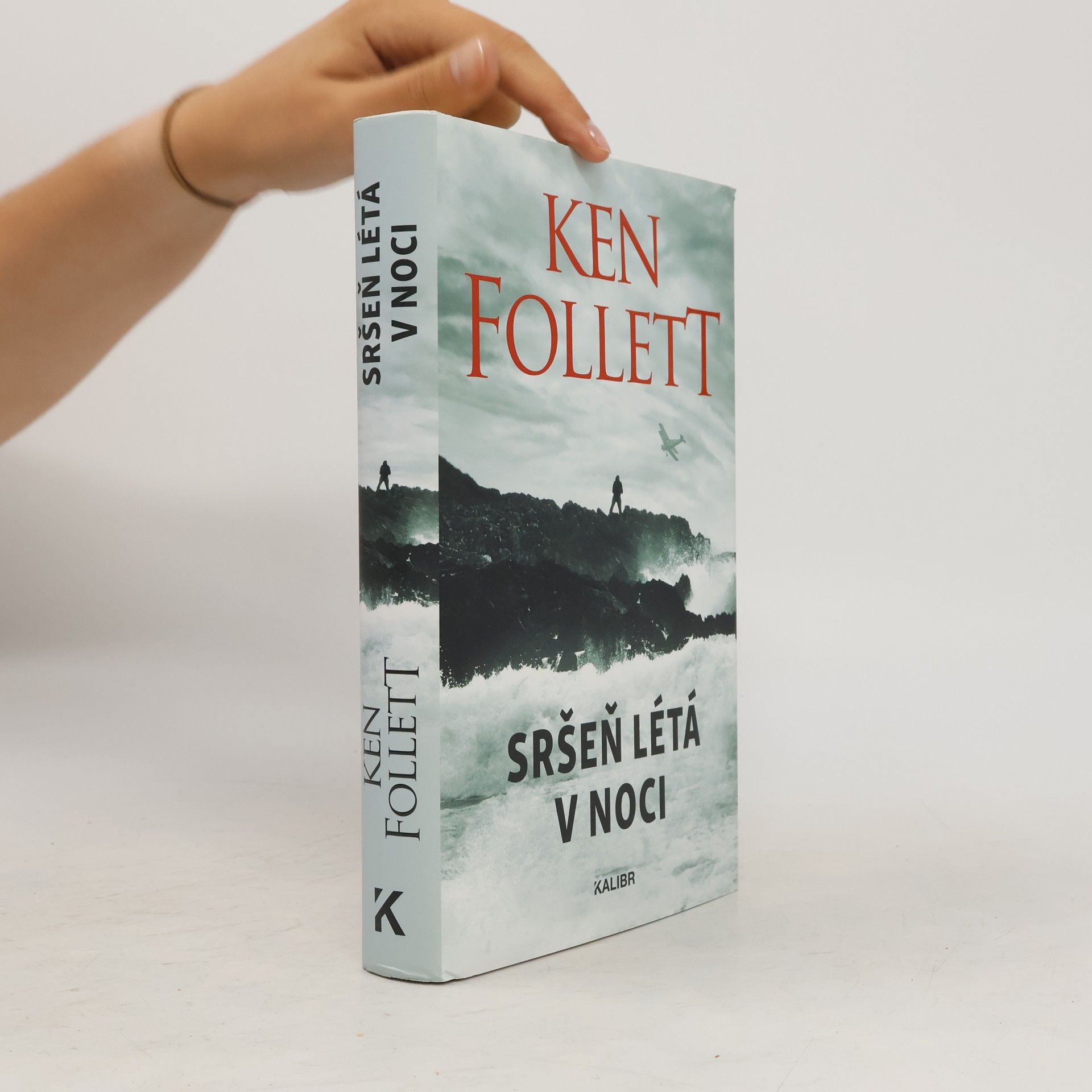 Ken Follett Sršeň létá v noci