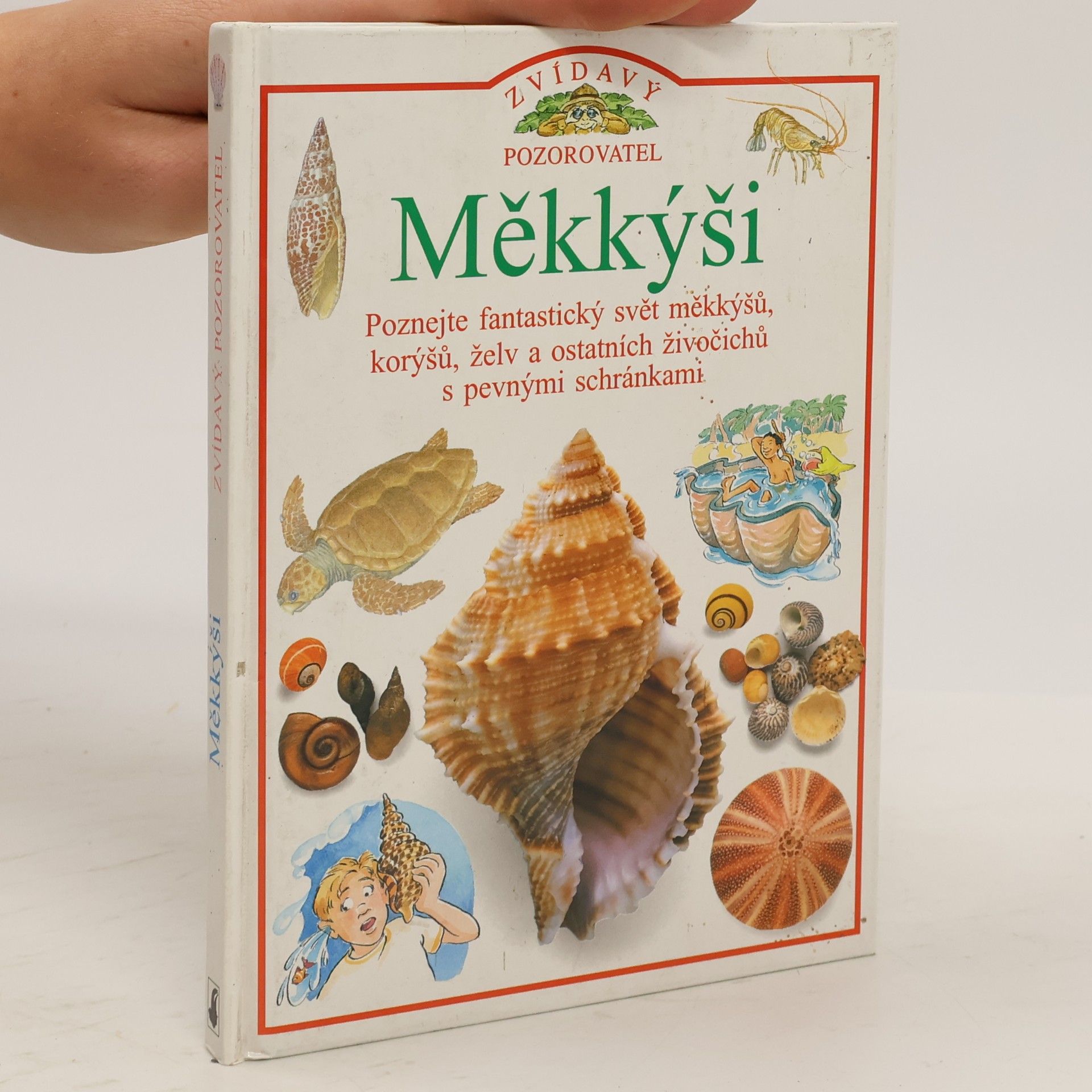 Jennifer Coldrey Měkkýši