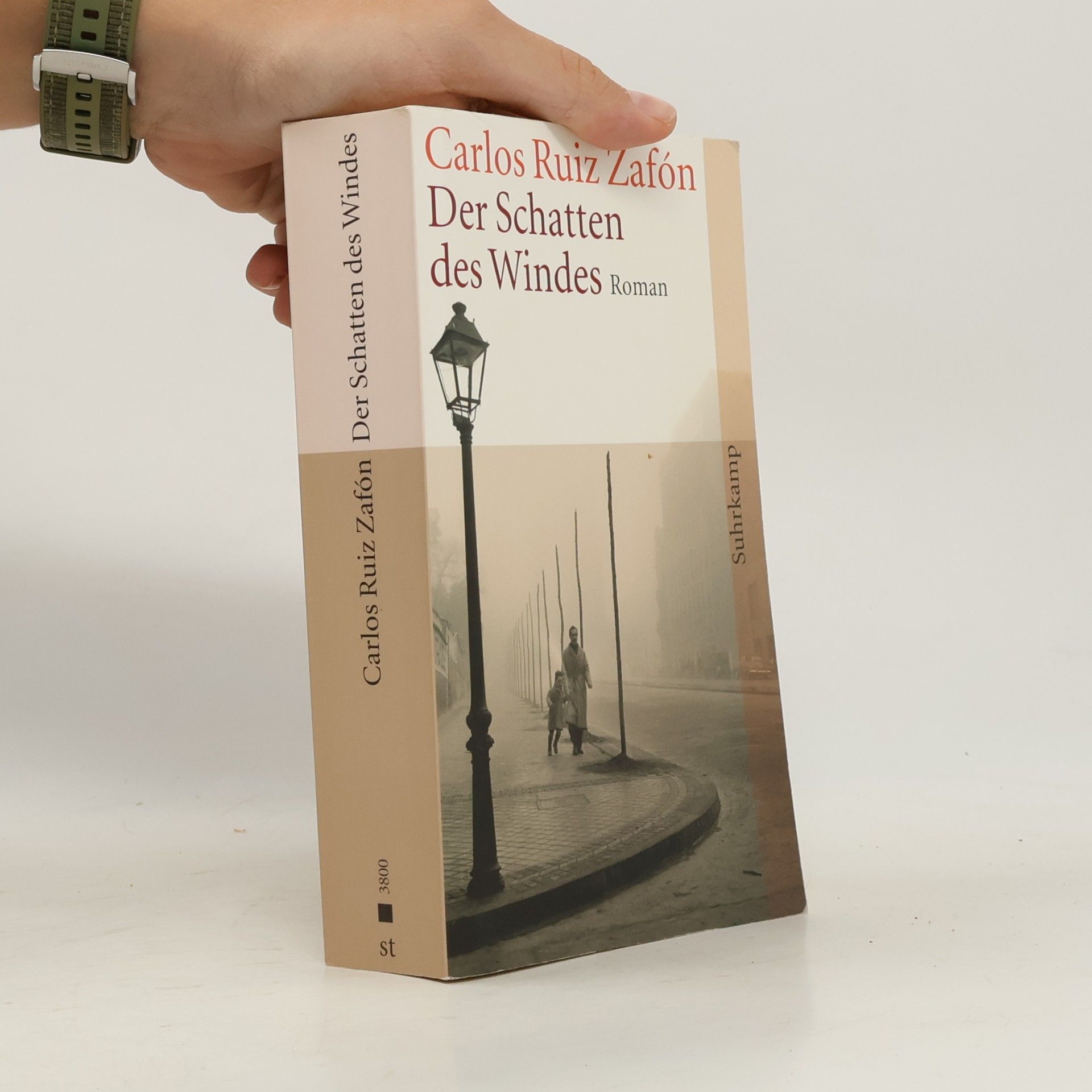 Der Schatten des Windes