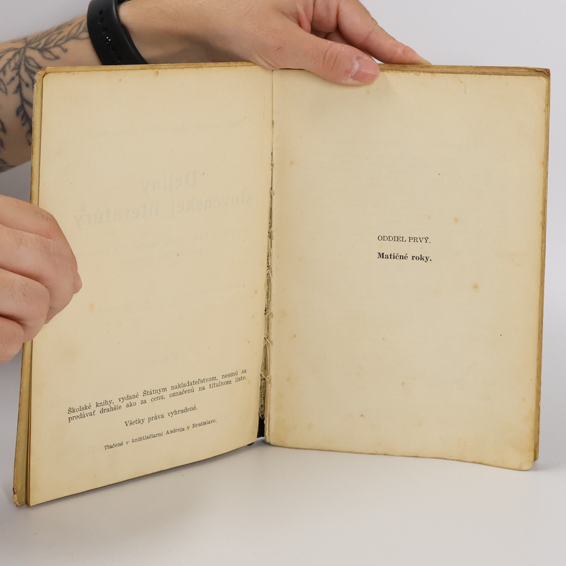 Jozef Ambruš Dejiny slovenskej literatúry