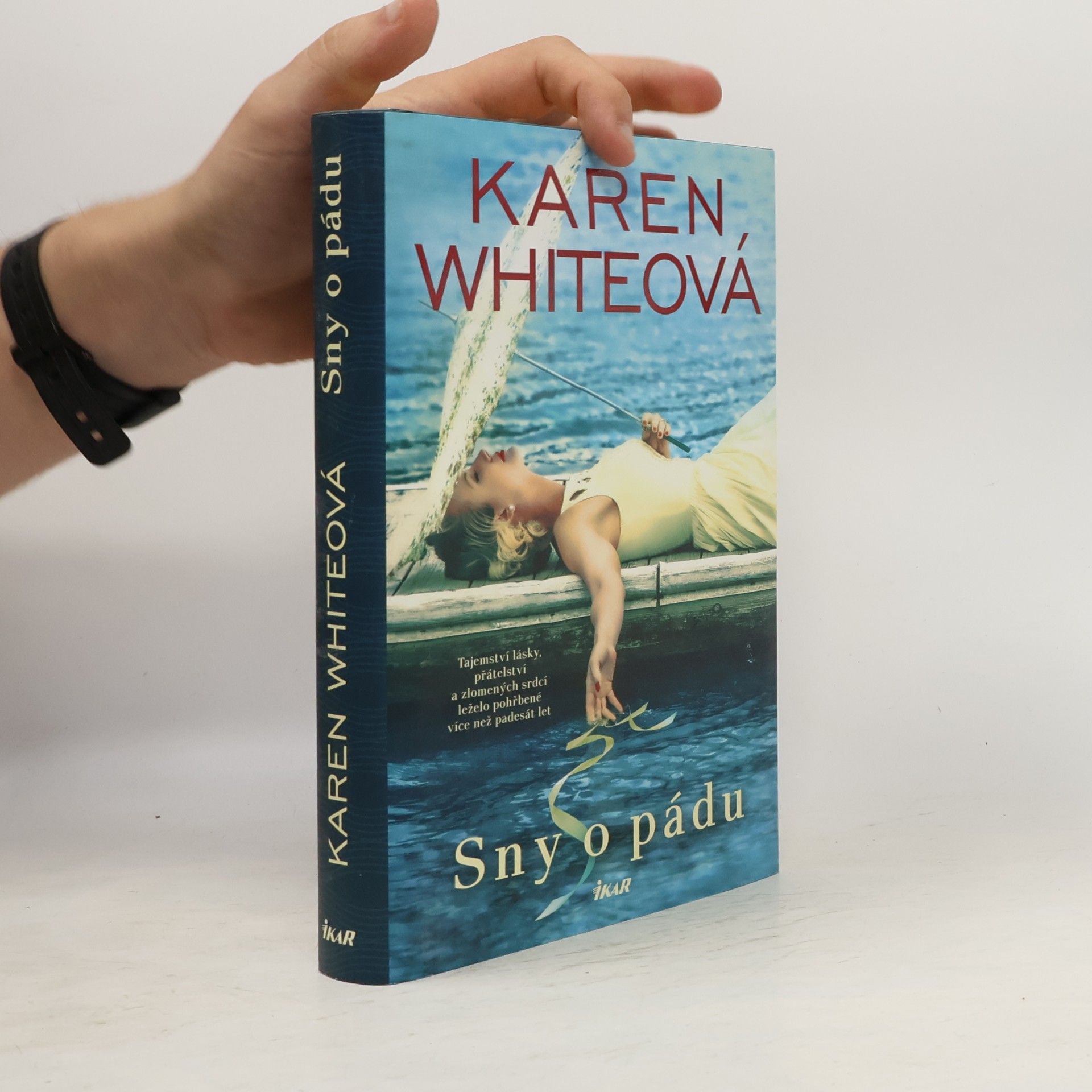 Karen Karen S. White Sny o pádu