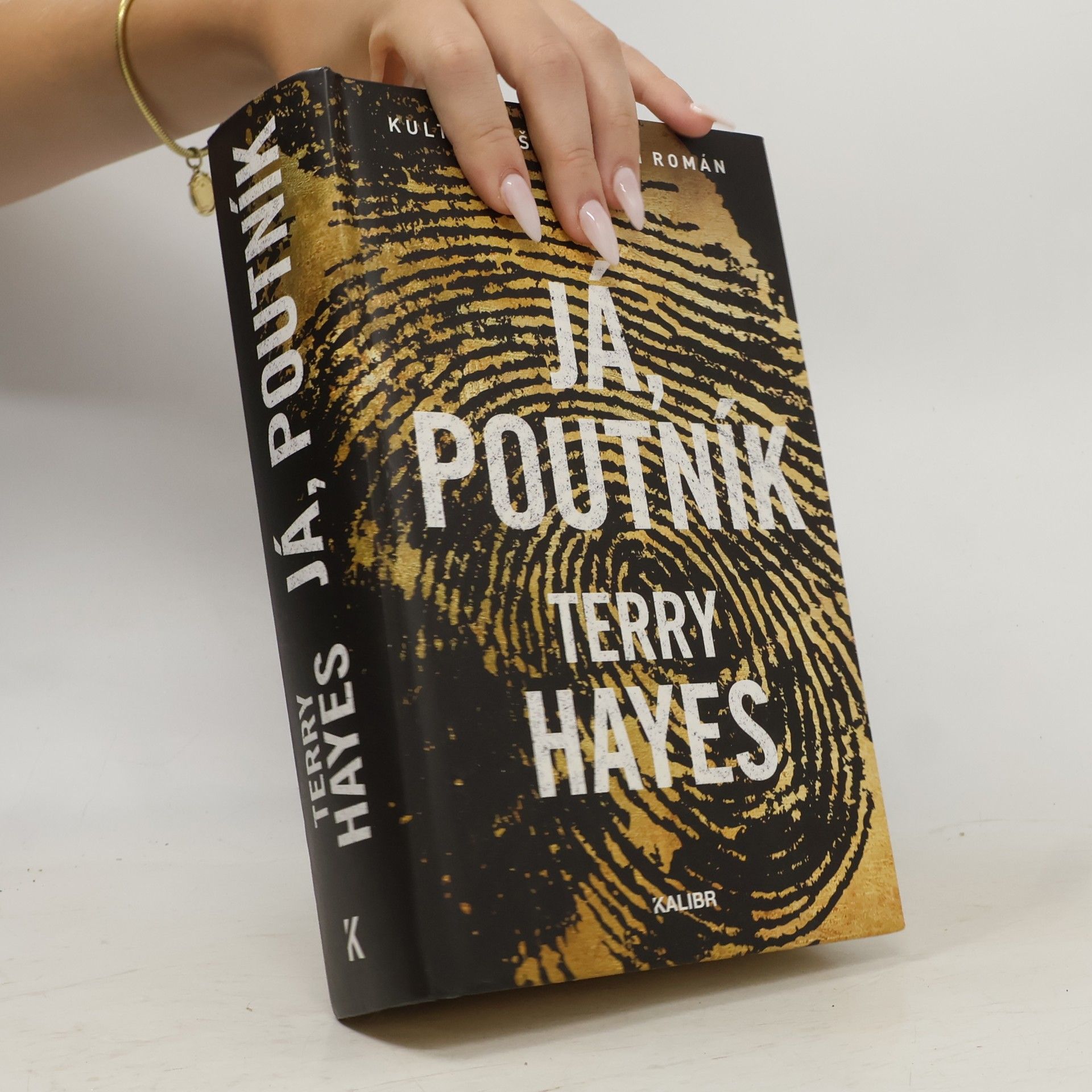 Terry Hayes Já, Poutník