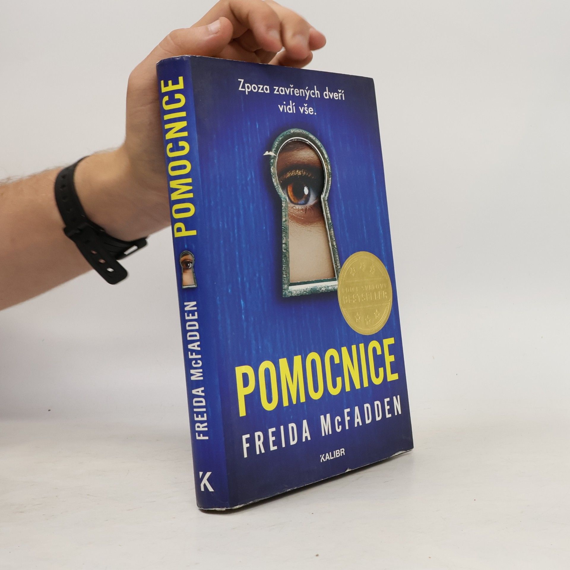 Freida McFadden Pomocnice