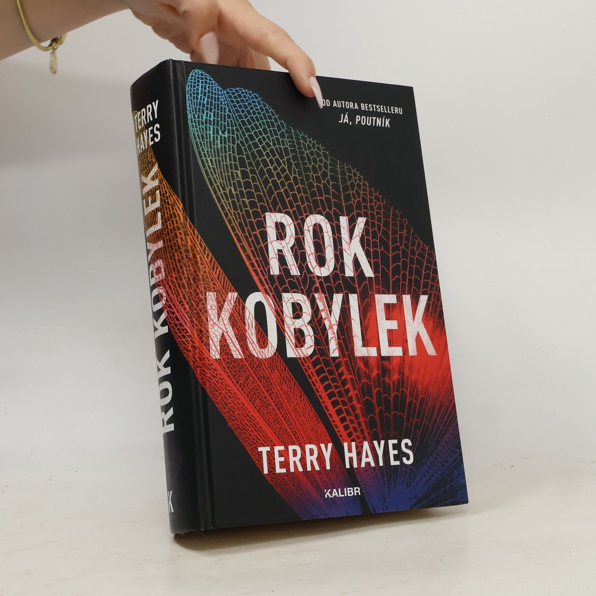 Terry Hayes Rok kobylek