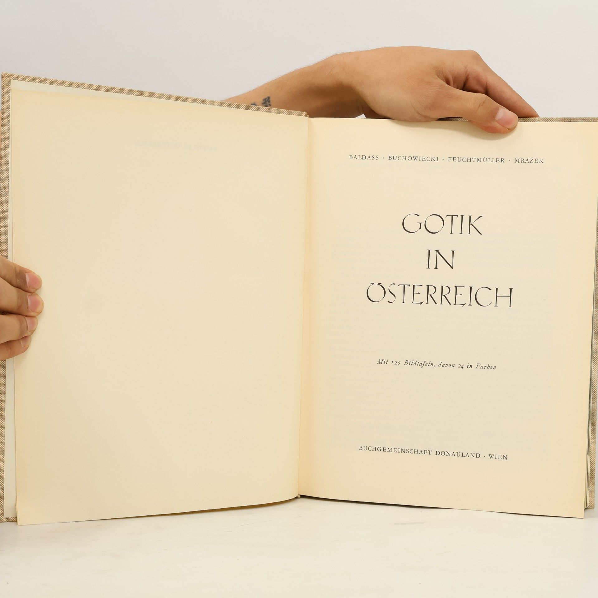Kolektiv autorů Gotik in Österreich
