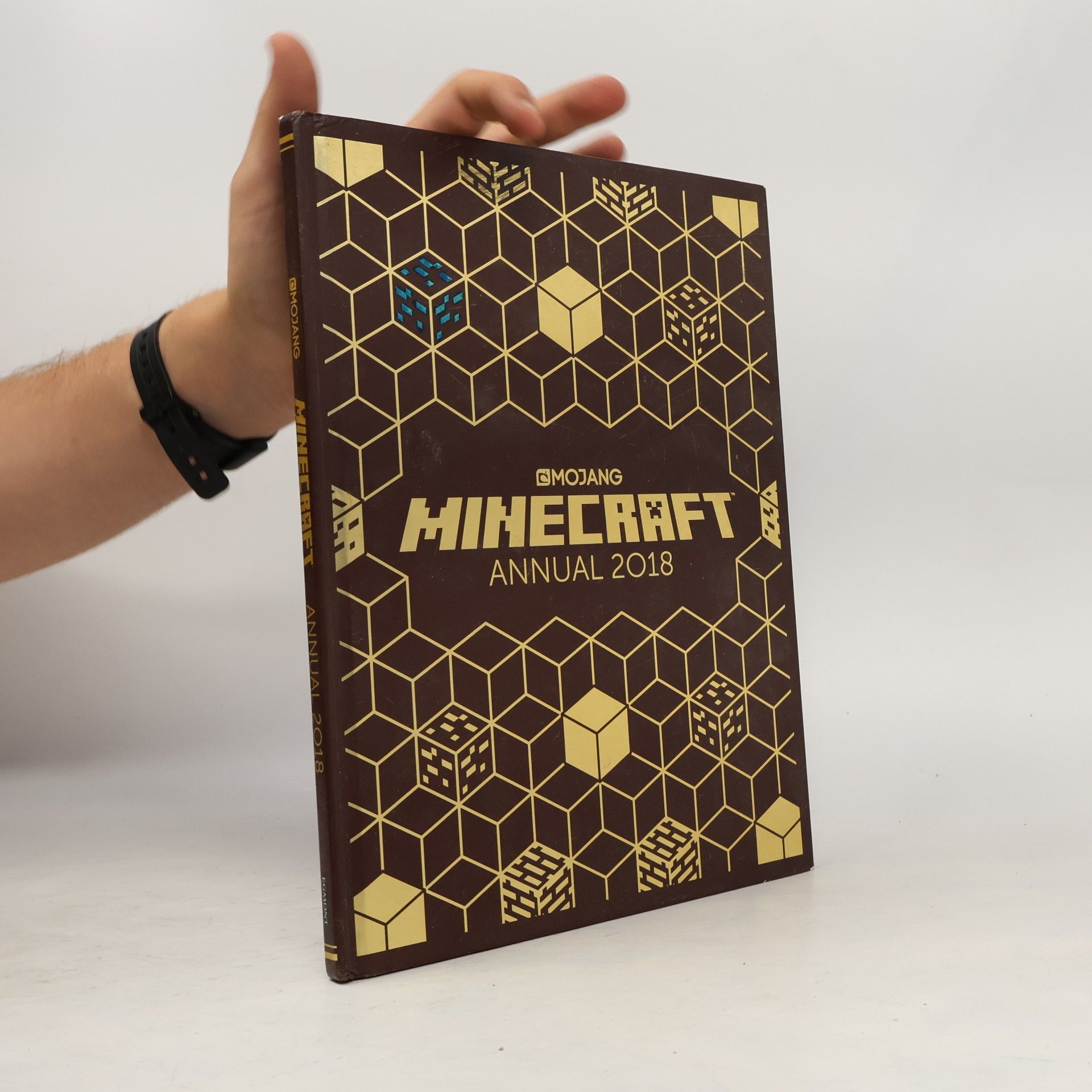 Collectif d'auteurs Minecraft Annual 2018