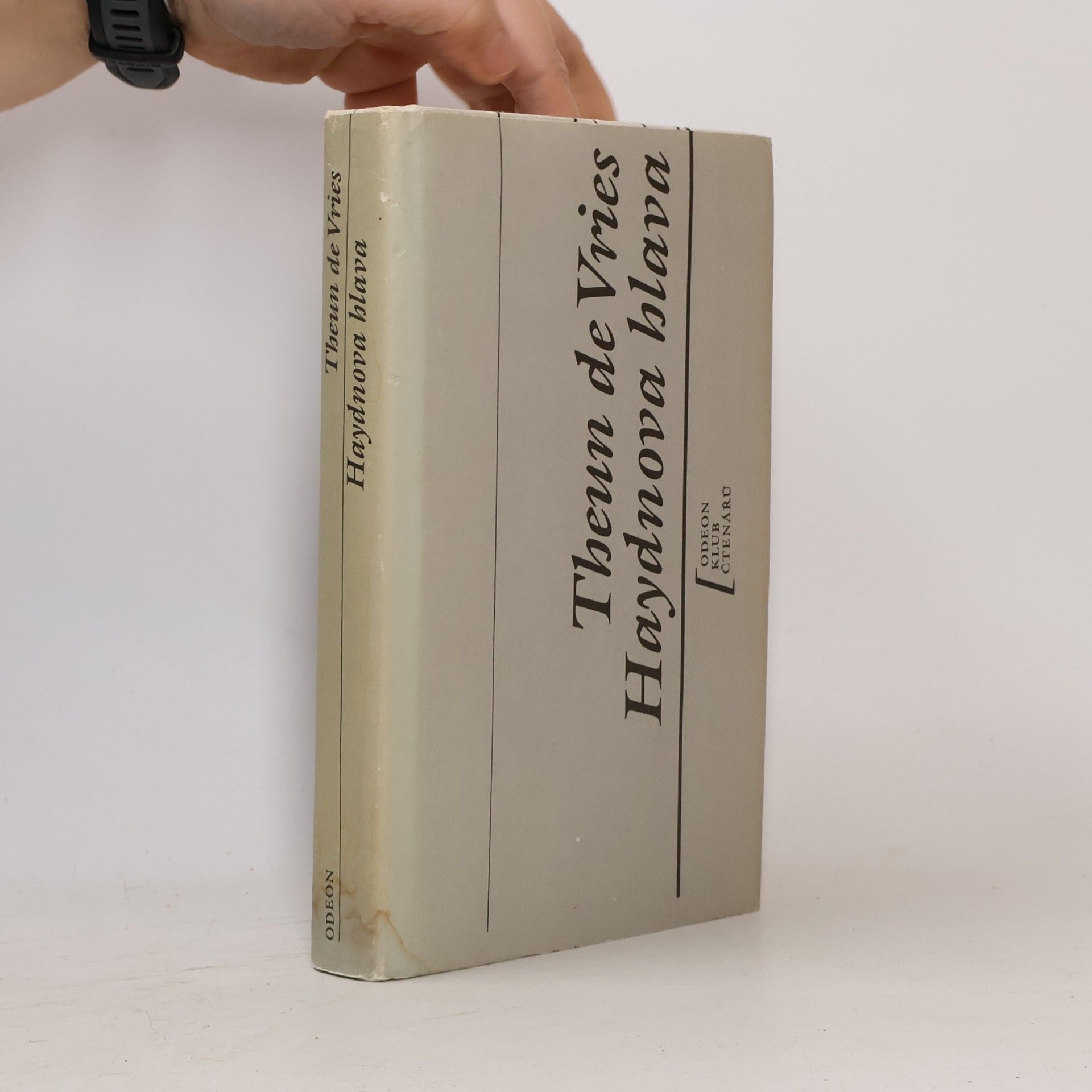 Theun de Vries Haydnova hlava
