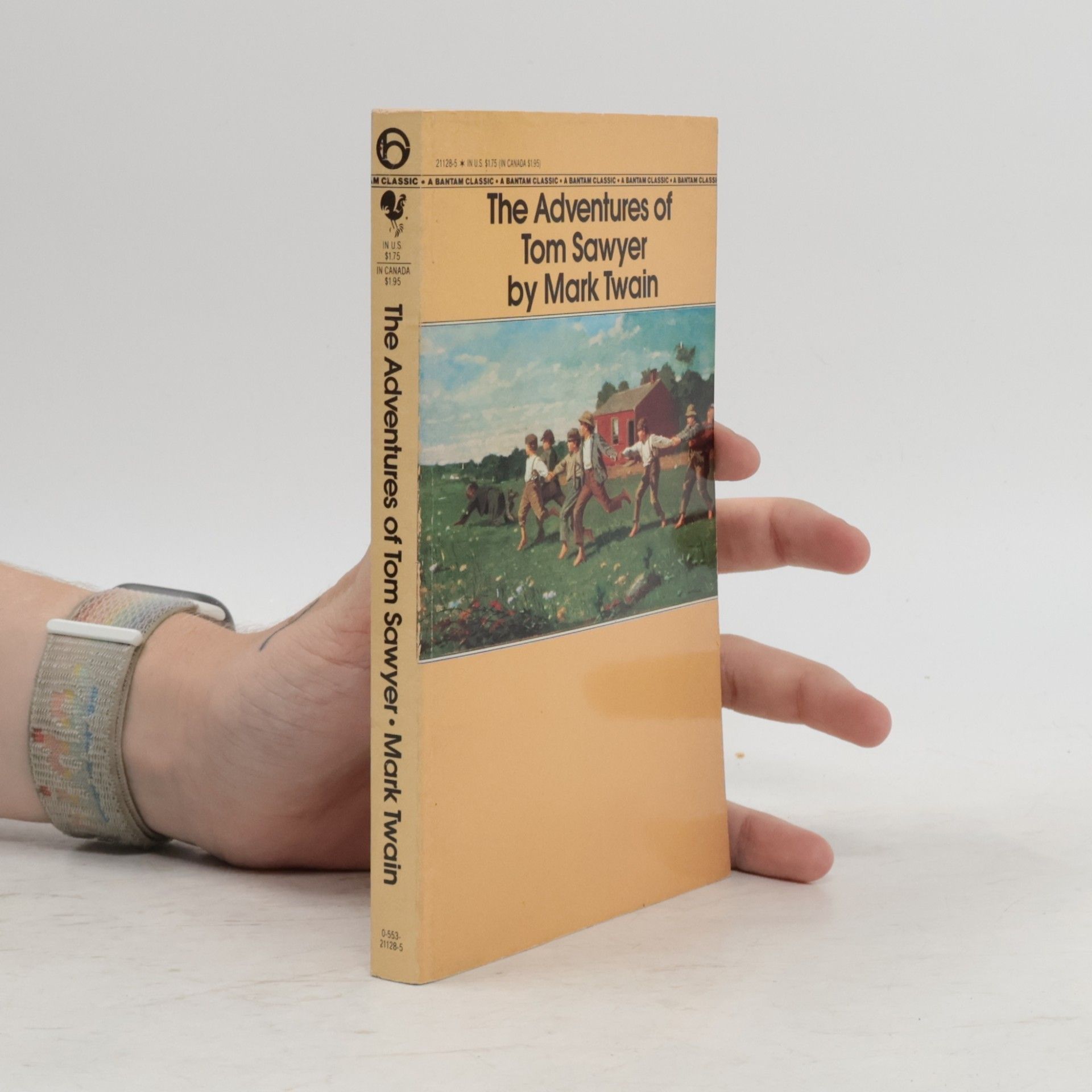 Mark Twain The Adventures of Tom Sawyer