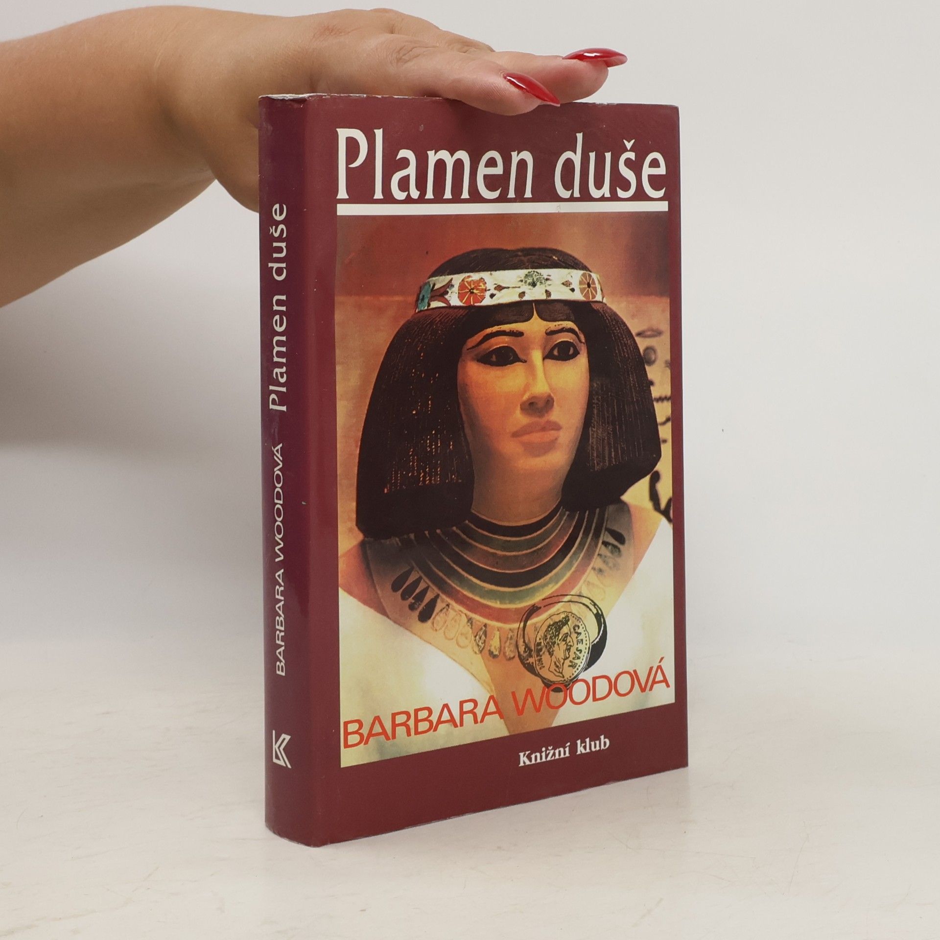 Barbara Wood Plamen duše