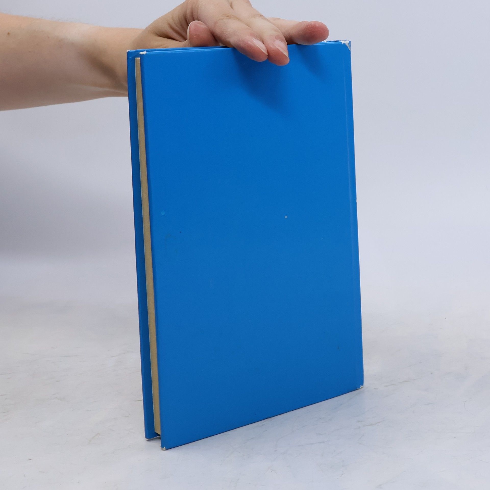 Autorenkollektiv Das Buch der Nibelungen