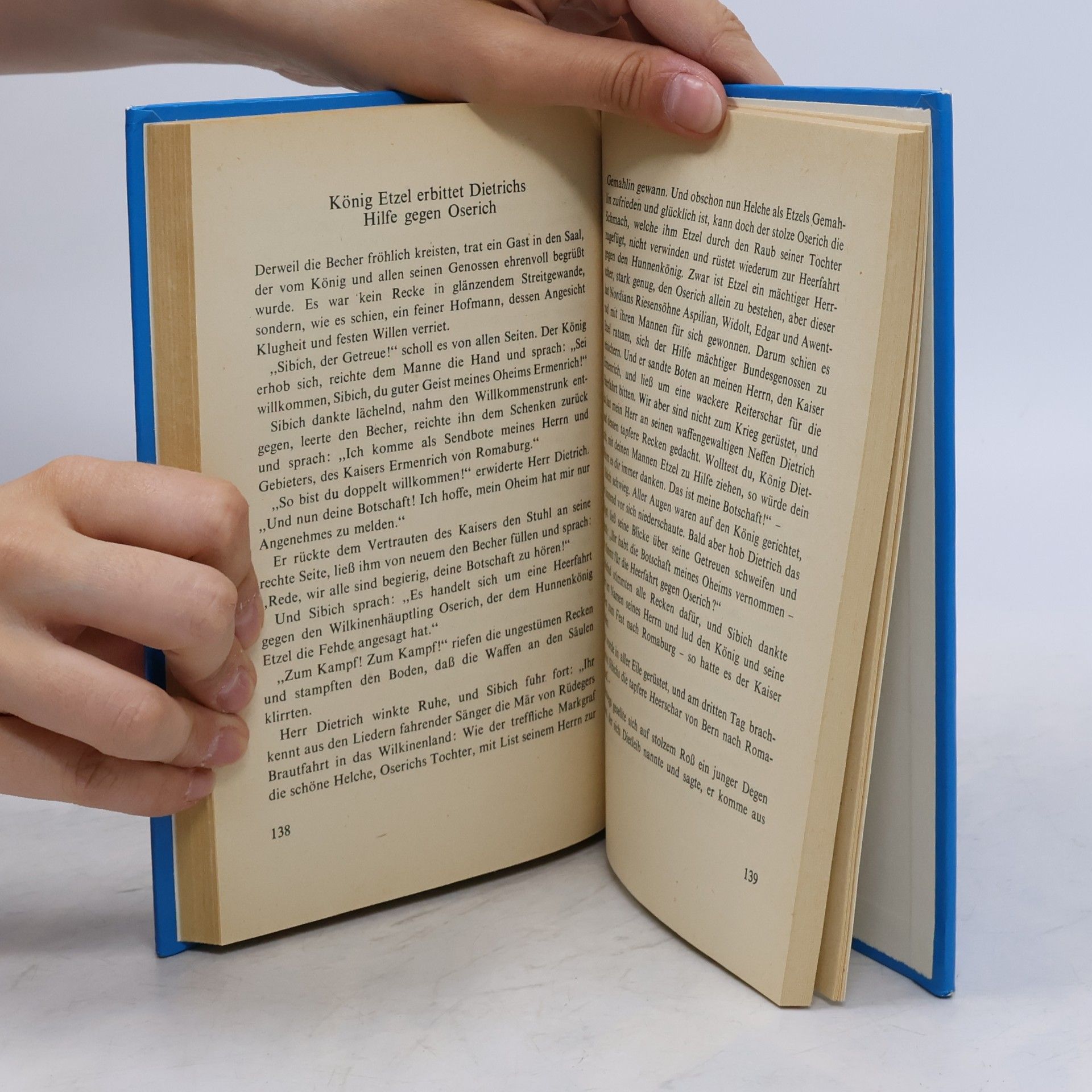 Autorenkollektiv Das Buch der Nibelungen