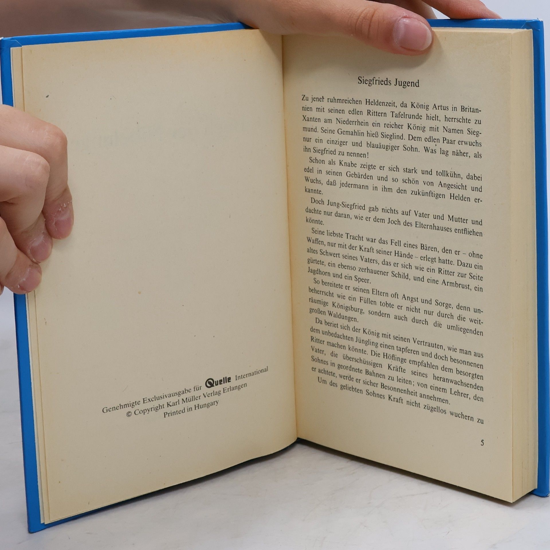 Autorenkollektiv Das Buch der Nibelungen