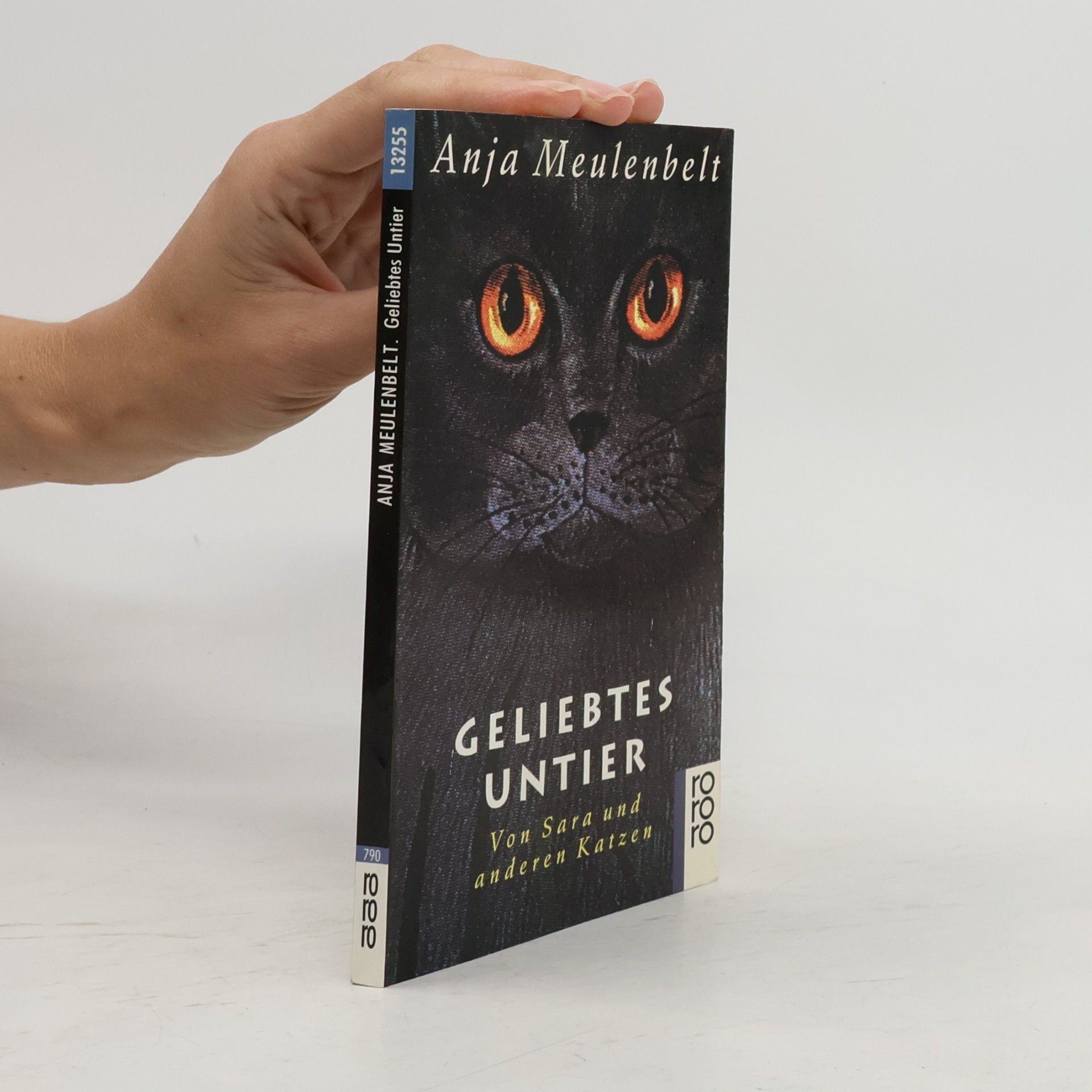 Anja Meulenbelt Geliebtes Untier