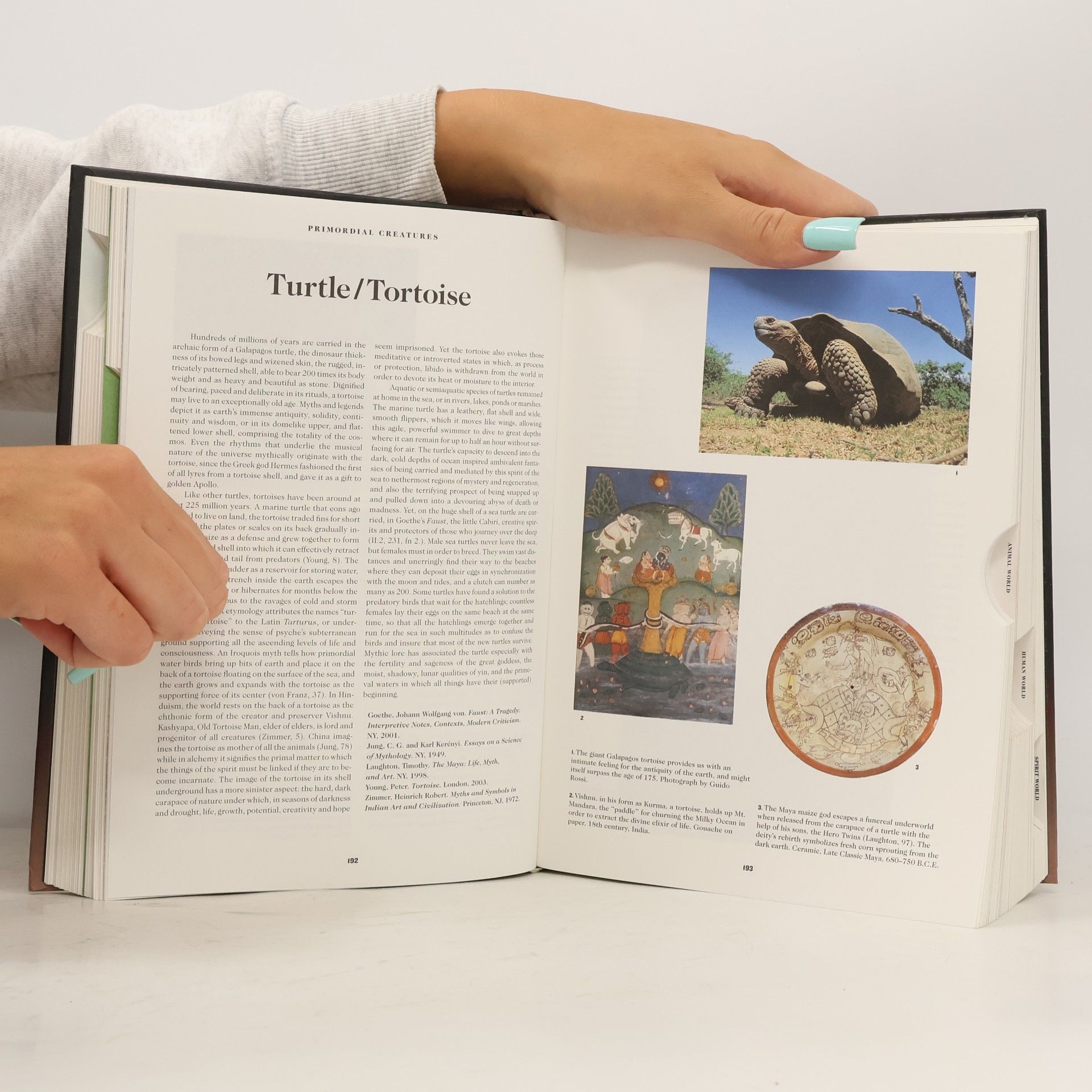 Kolektiv autorů The book of symbols : Reflection of archetypal images
