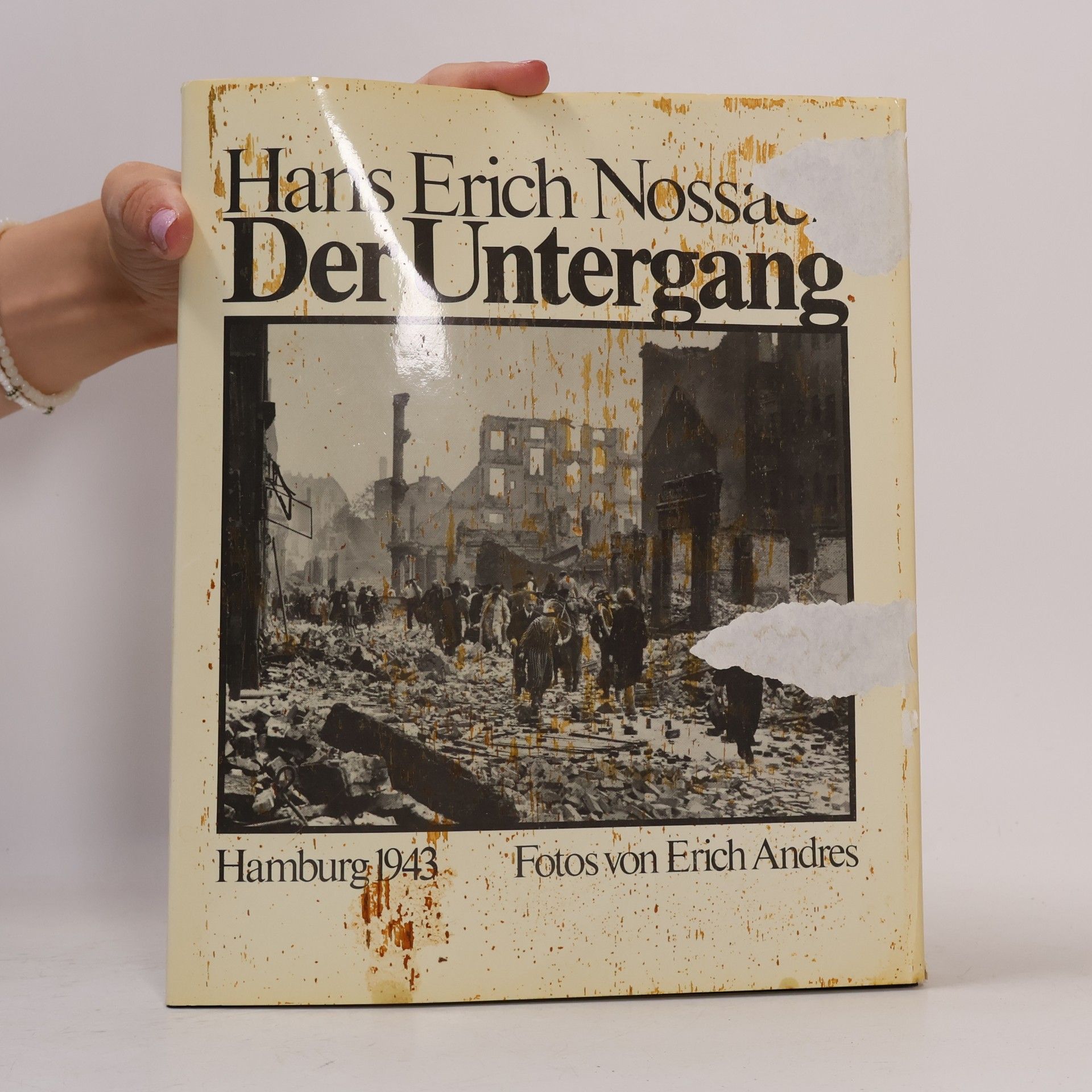 Hans Erich Nossack Der Untergang