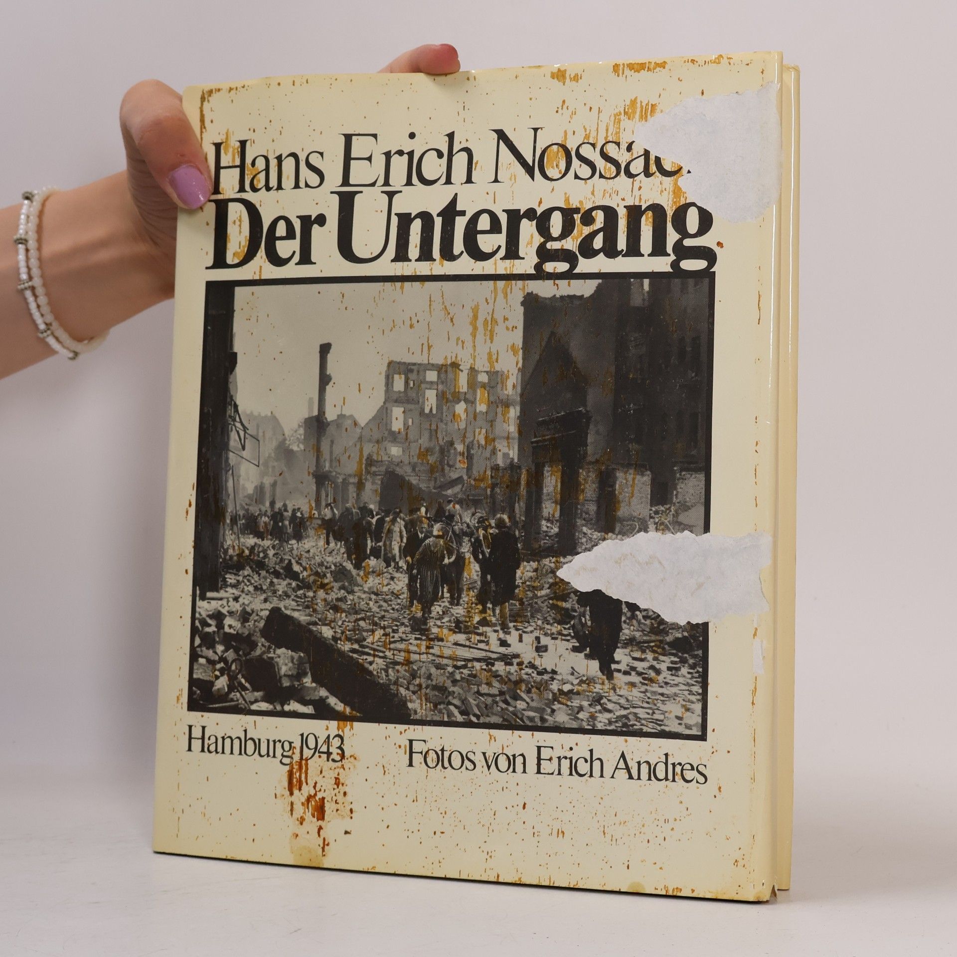 Hans Erich Nossack Der Untergang