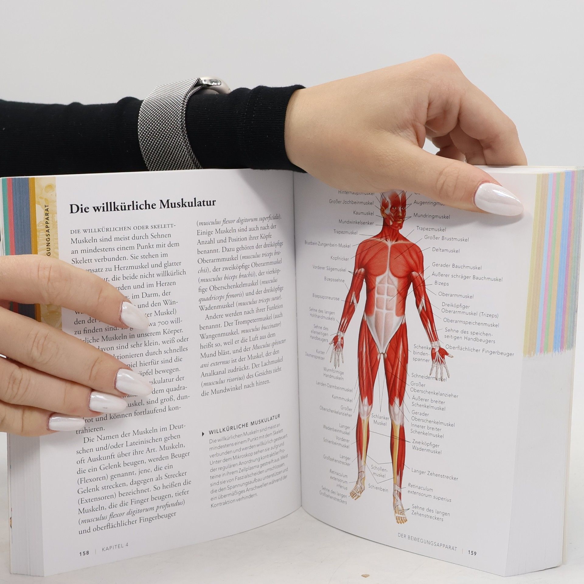 Ken Ashwell Anatomie und Physiologie