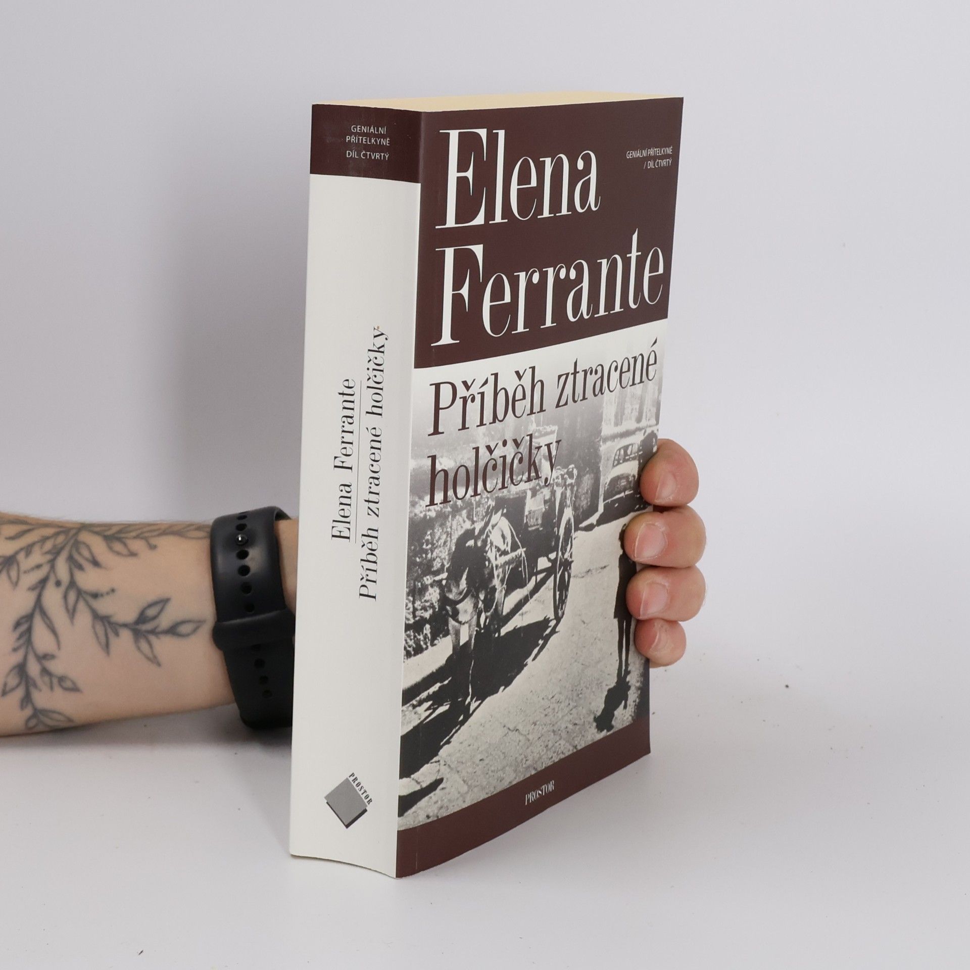 Elena Ferrante Příběh ztracené holčičky. Geniální přítelkyně. 4. díl