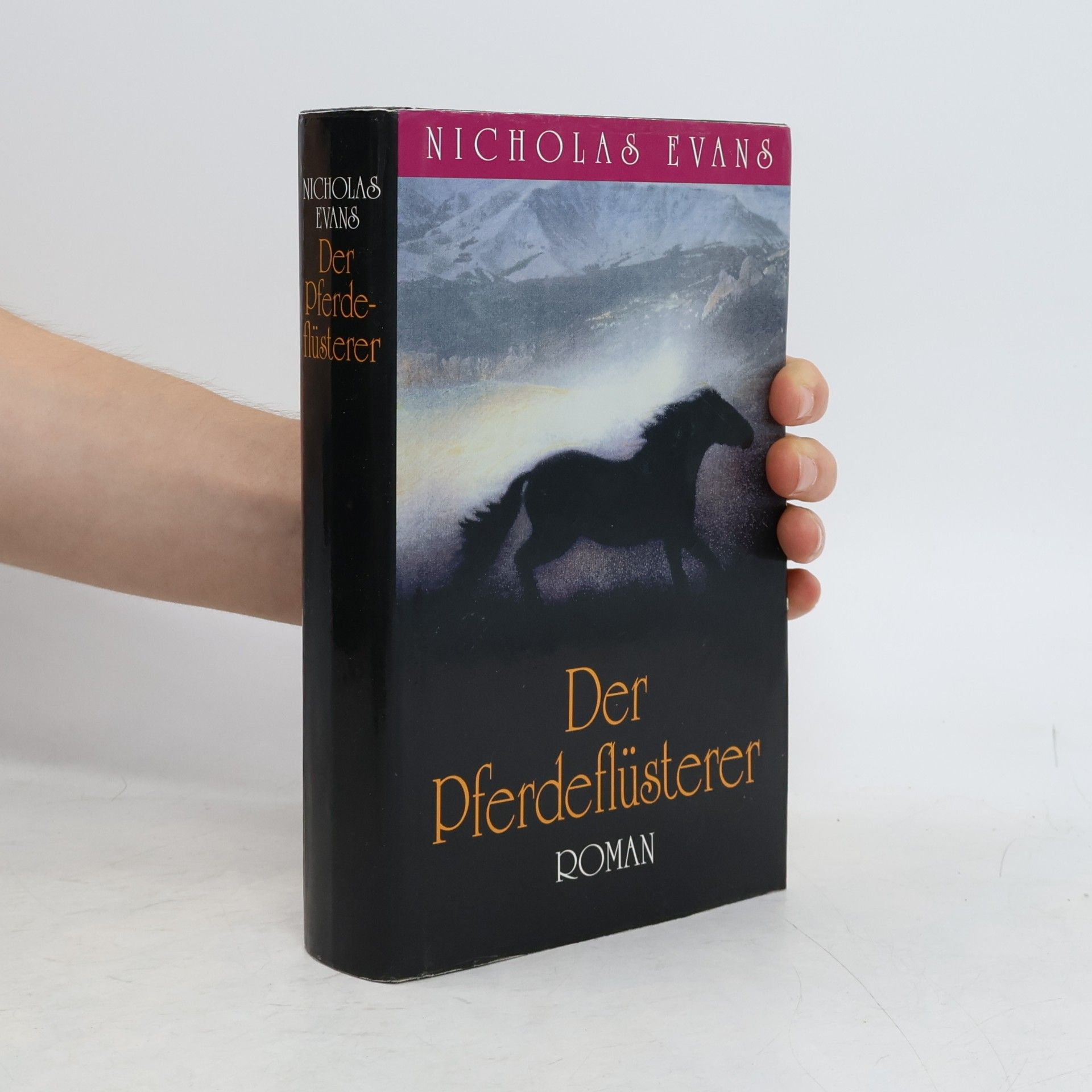 Nicholas Evans Der Pferdeflüsterer