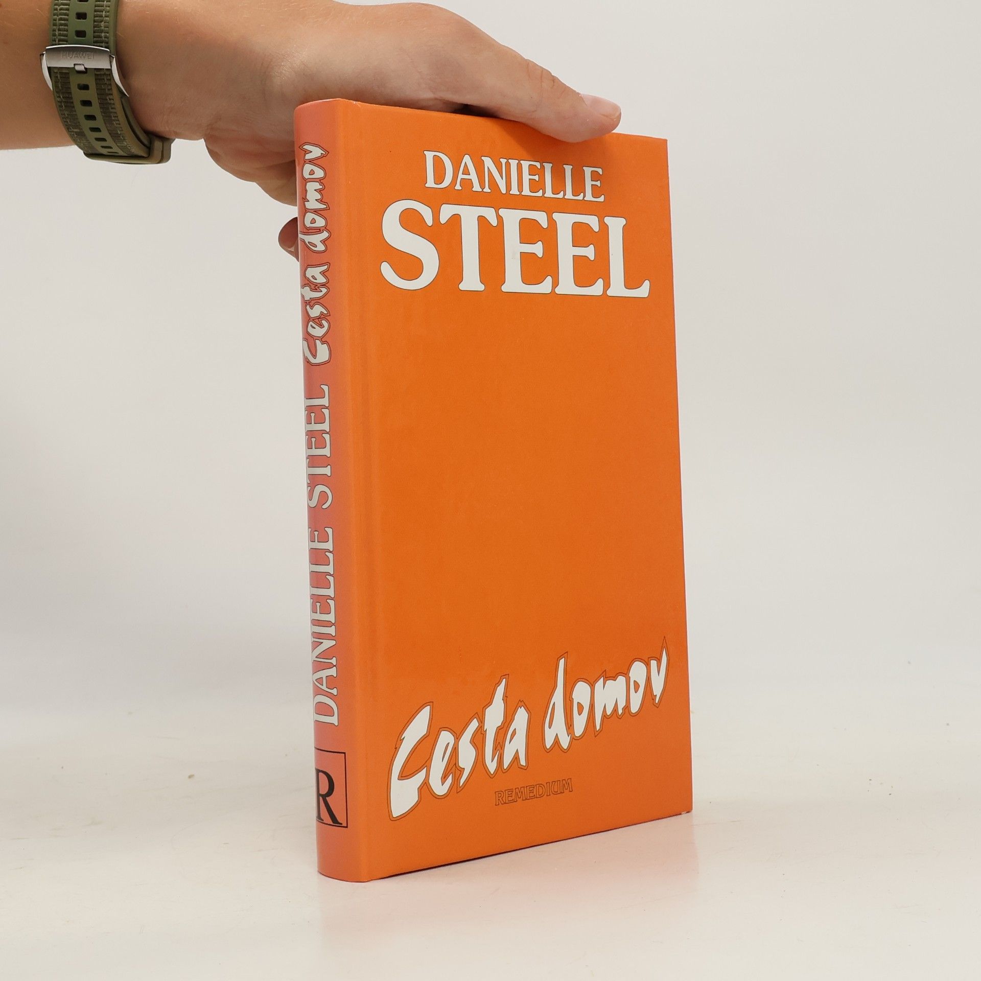 Danielle Steel Cesta domov