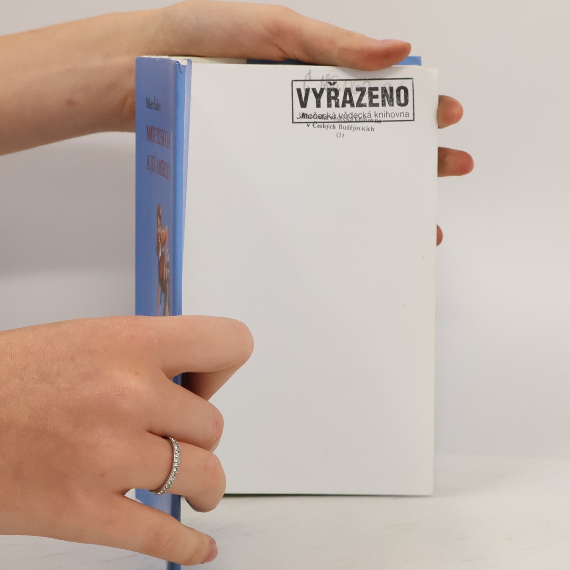 Meʾir Shalev Moje ruská babička a její americký vysavač