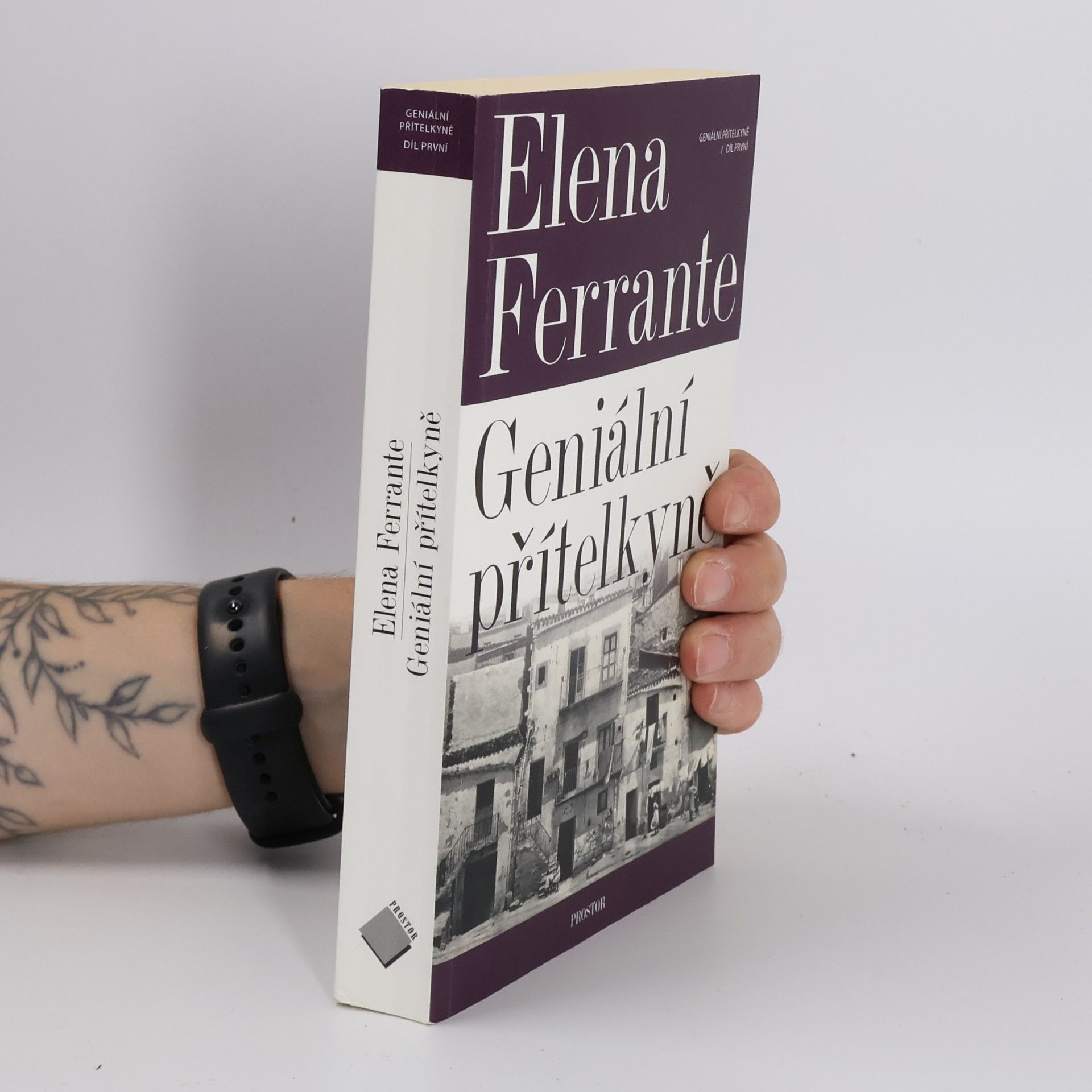 Elena Ferrante Geniální přítelkyně 1. Dětství a dospívání