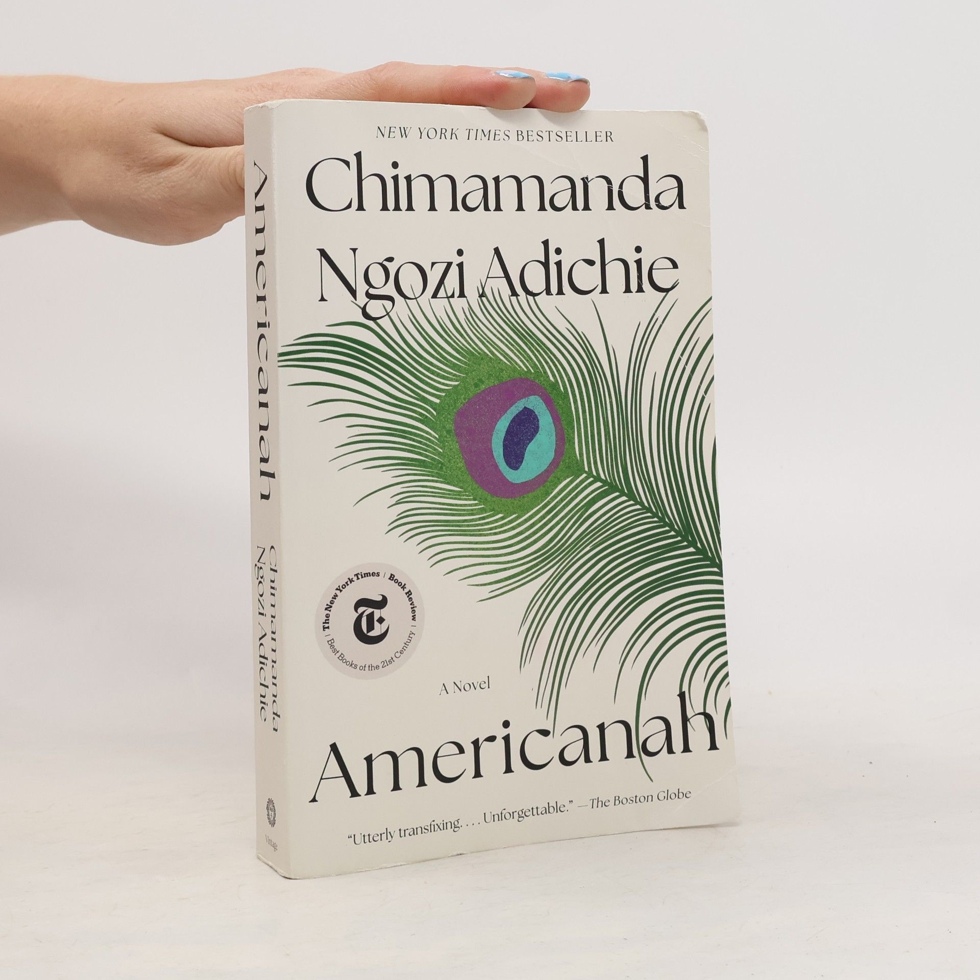 Chimamanda Ngozi Adichie Americanah