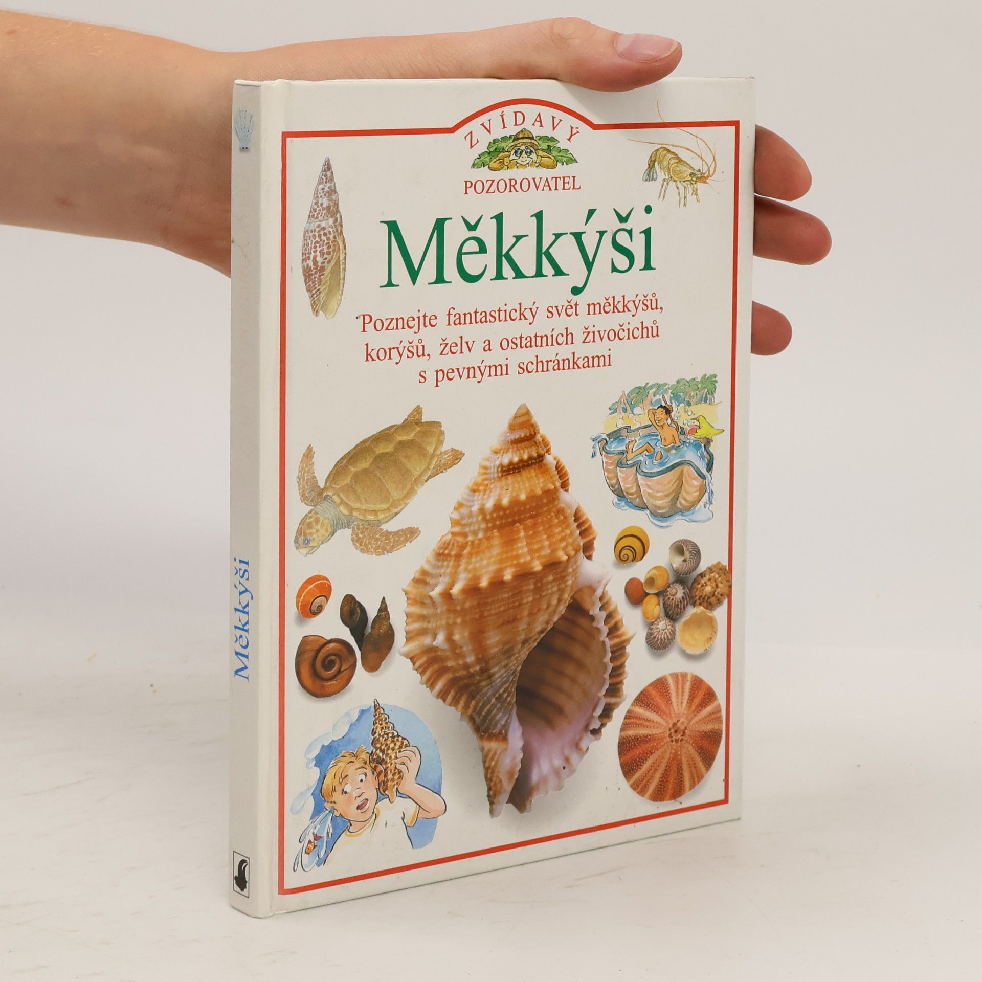 Jennifer Coldrey Měkkýši